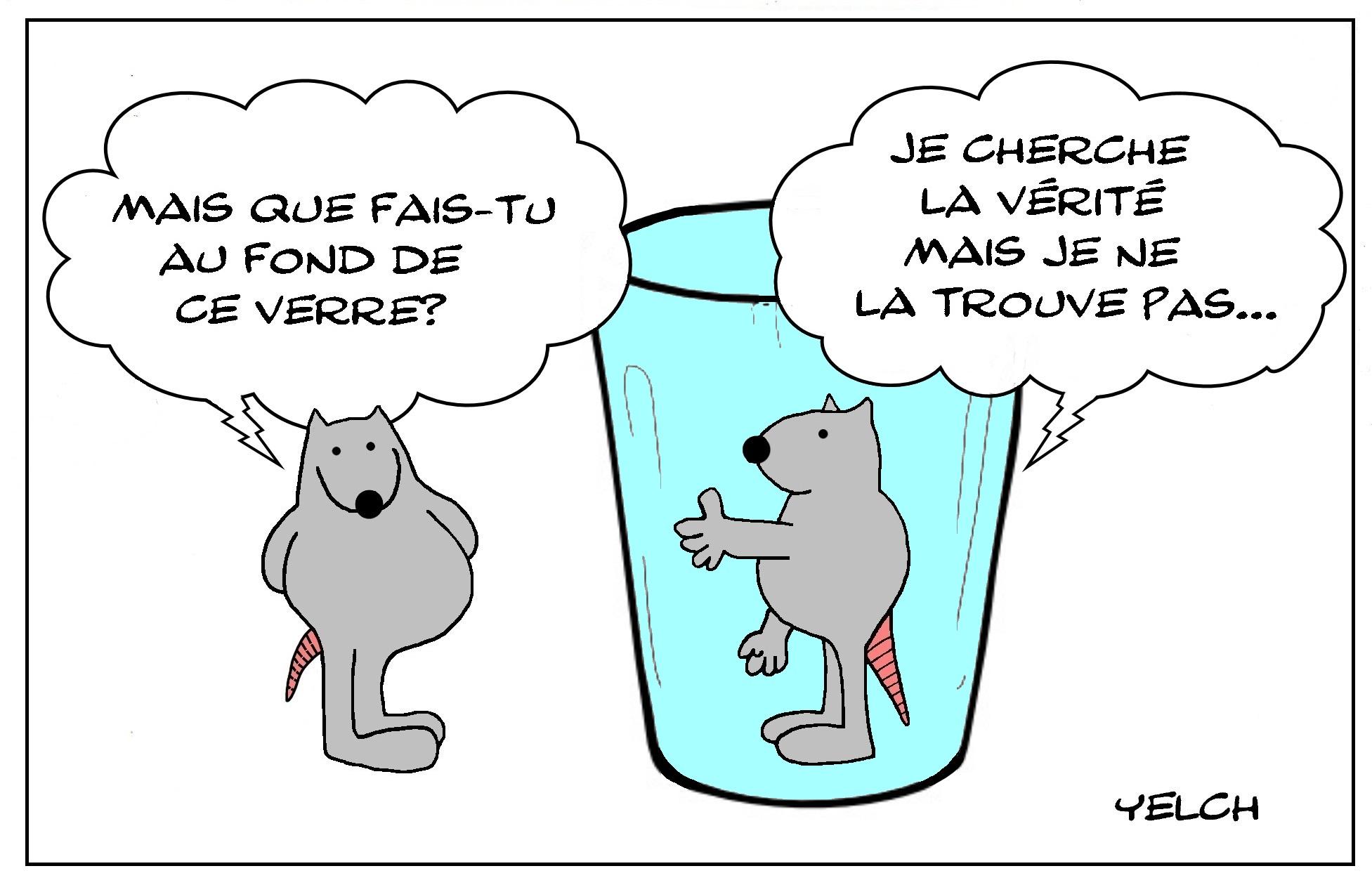 La vérité du verre