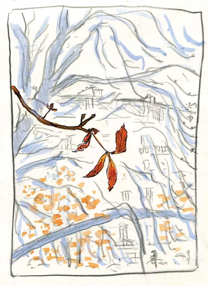 dimanche 1er novembre 17h30...