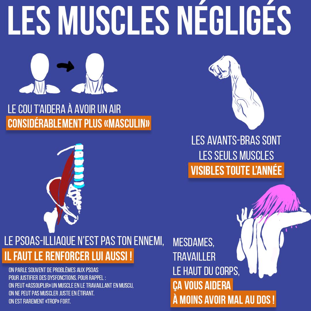 Les muscles négligés