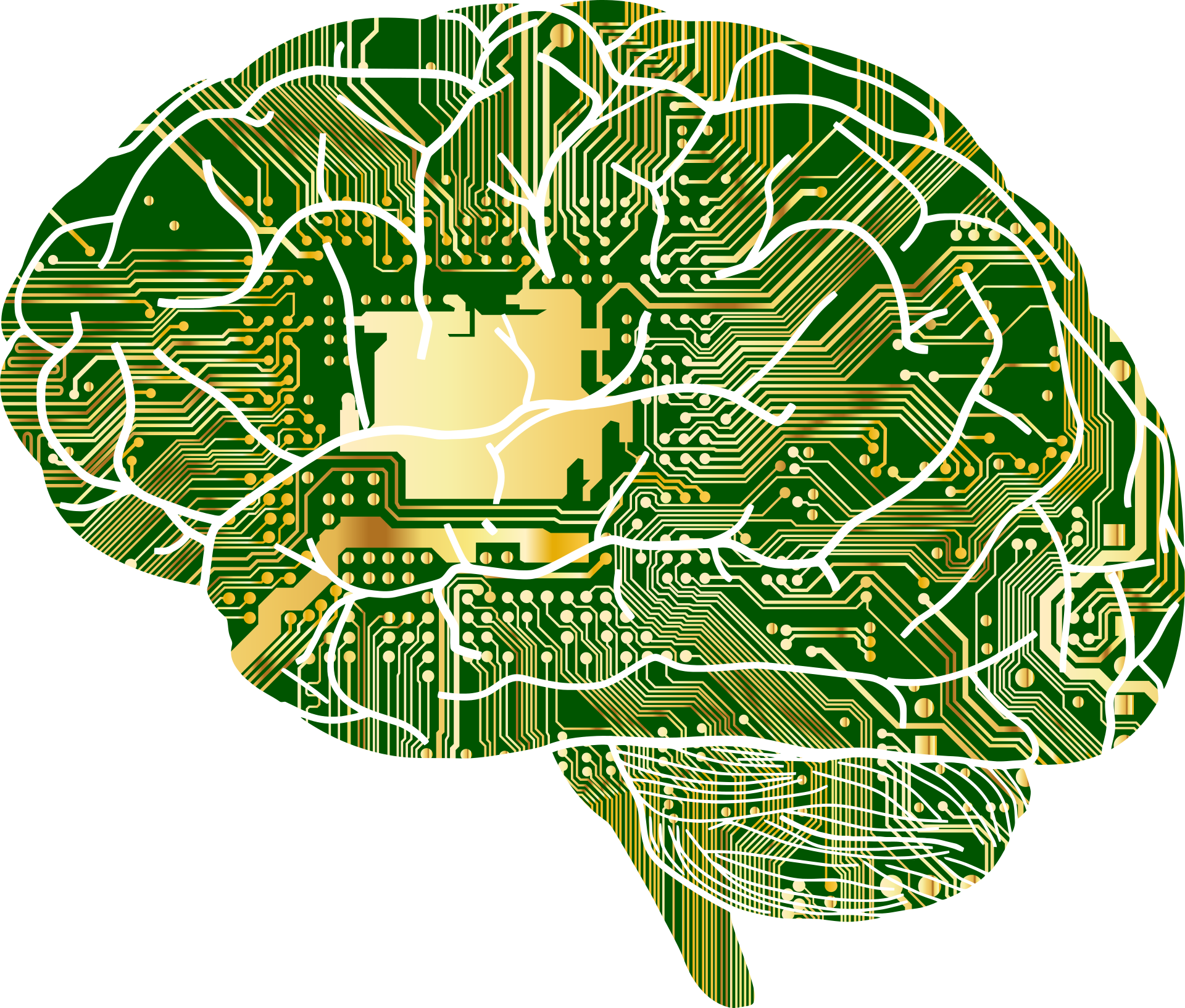 Le cerveau quantique