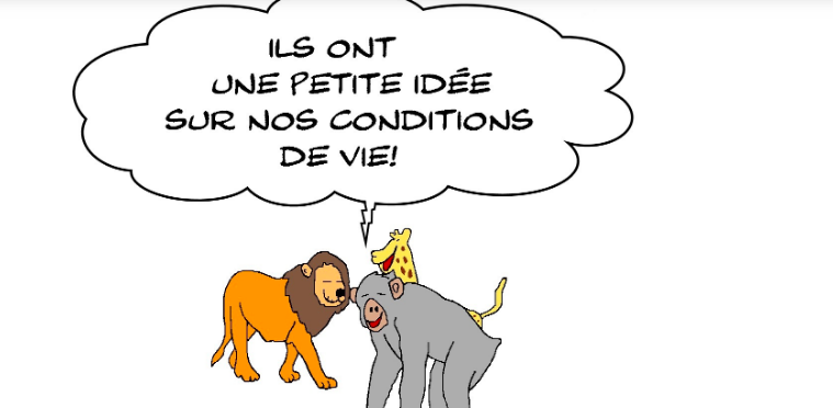 le confinement réjouit les animaux des zoos