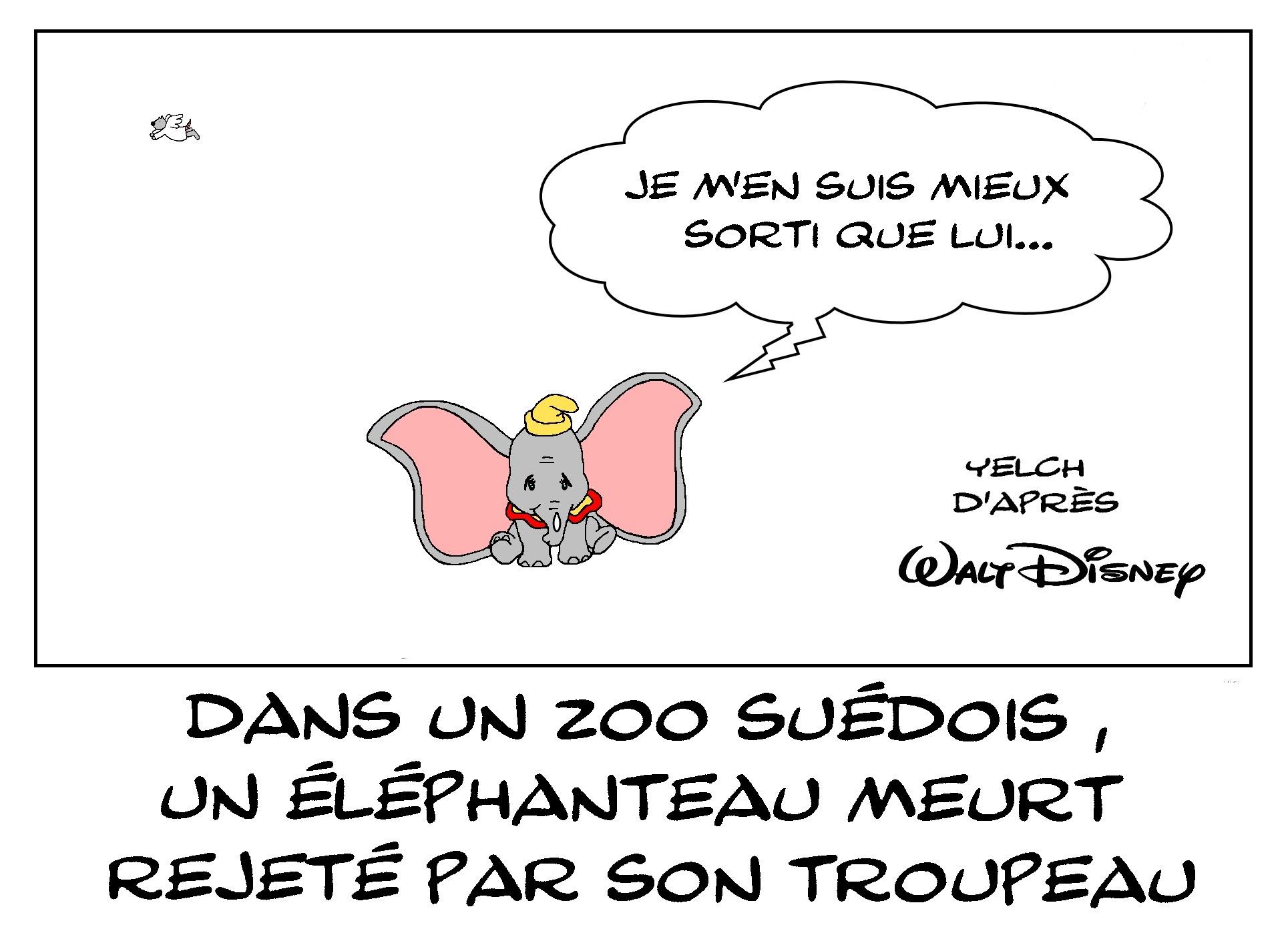 Dumbo a finalement eu de la chance...