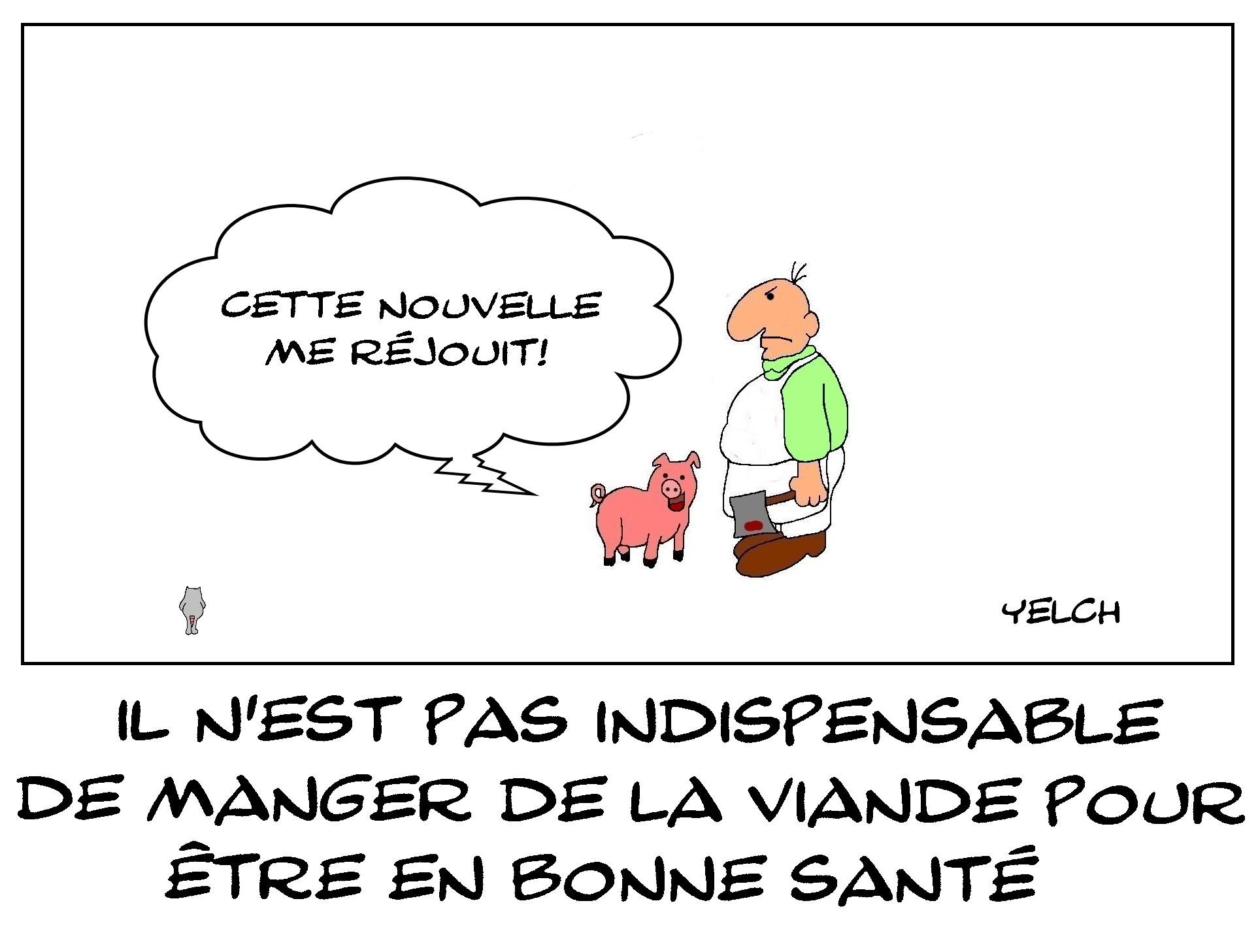 Il n'est pas indispensable de manger de la viande