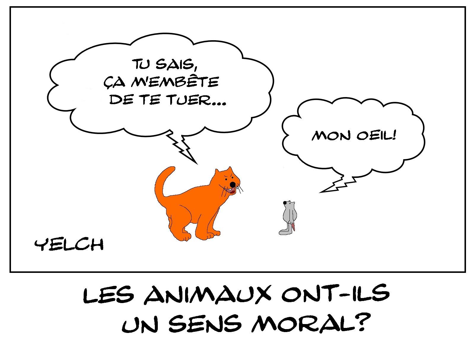 Les animaux ont-ils un sens moral?