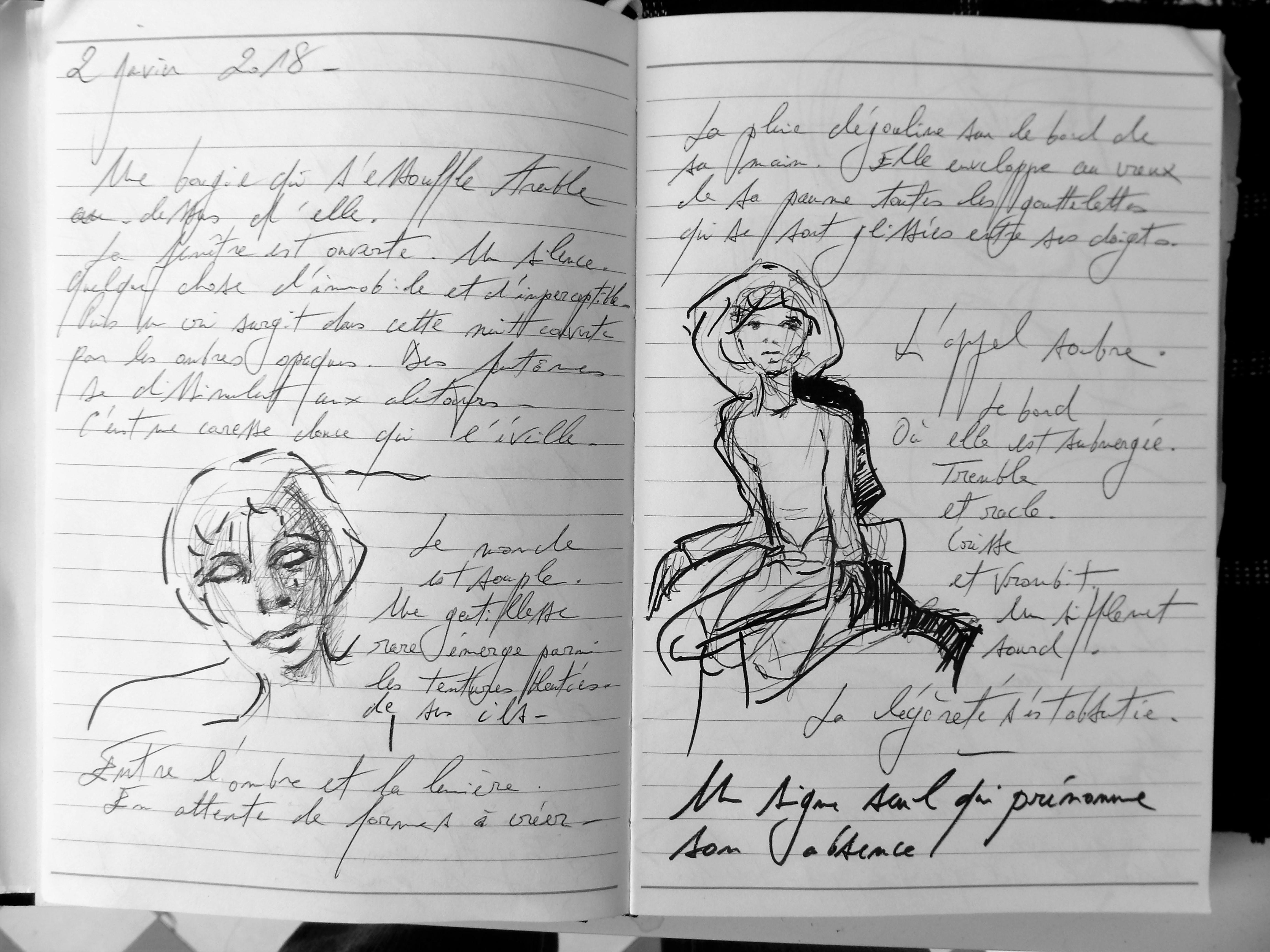 Petits papiers volants : journal d'écriture 2003-2018 - 2 janvier 2018