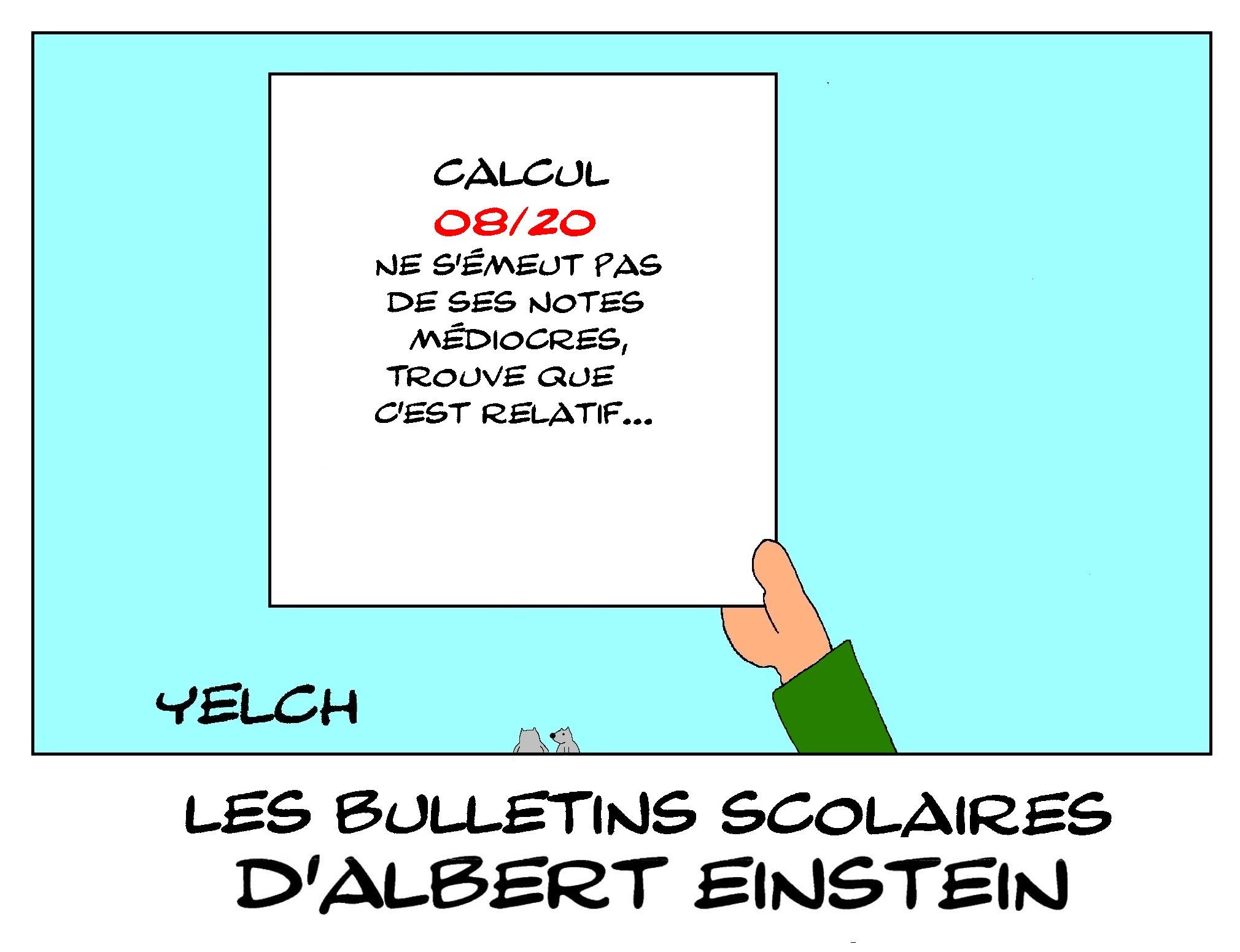 les bulletins scolaires d'Albert Einstein : calcul