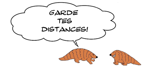 pangolin farceur