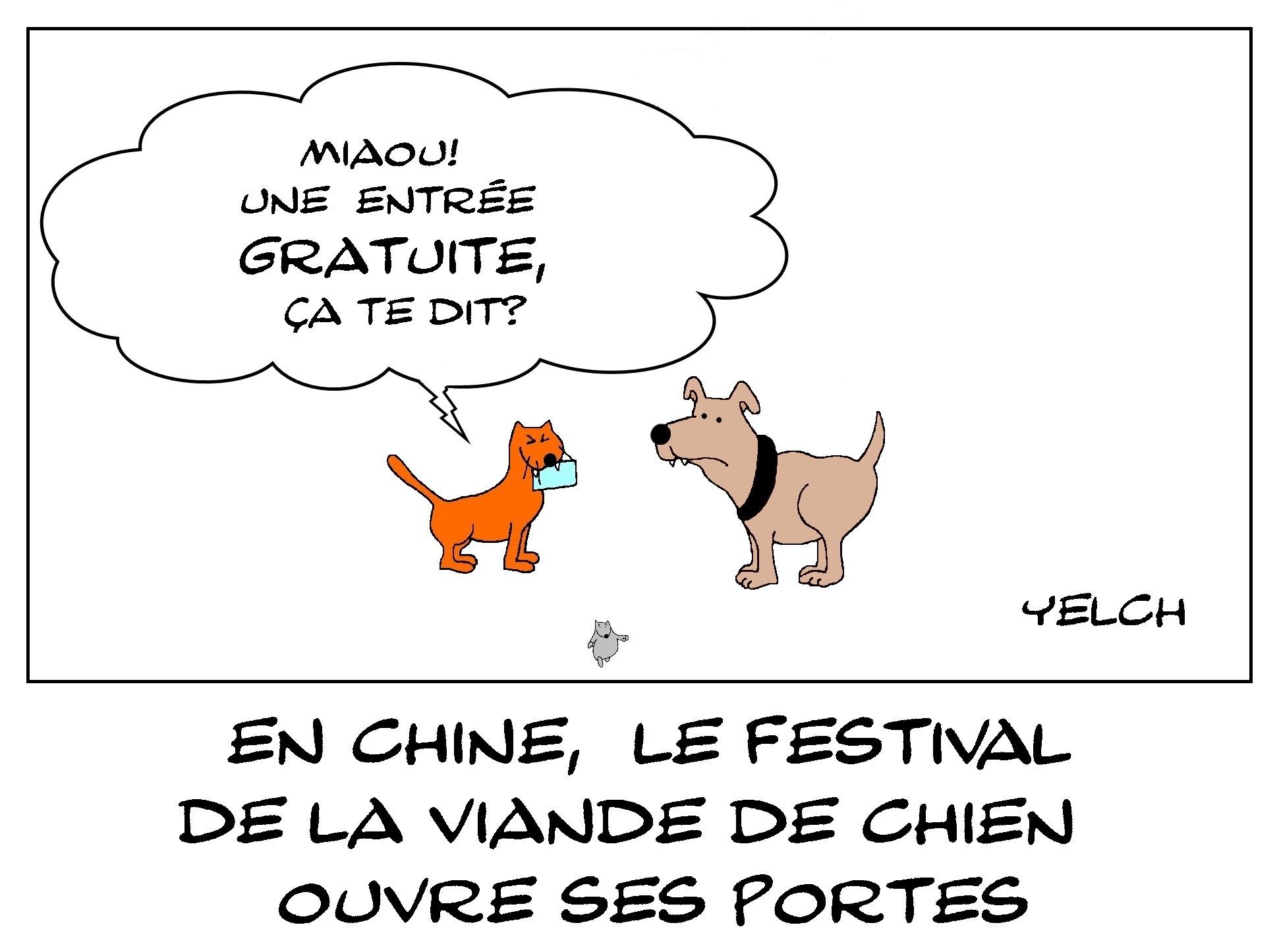 en chine , le festival de la viande de chien ouvre ses portes