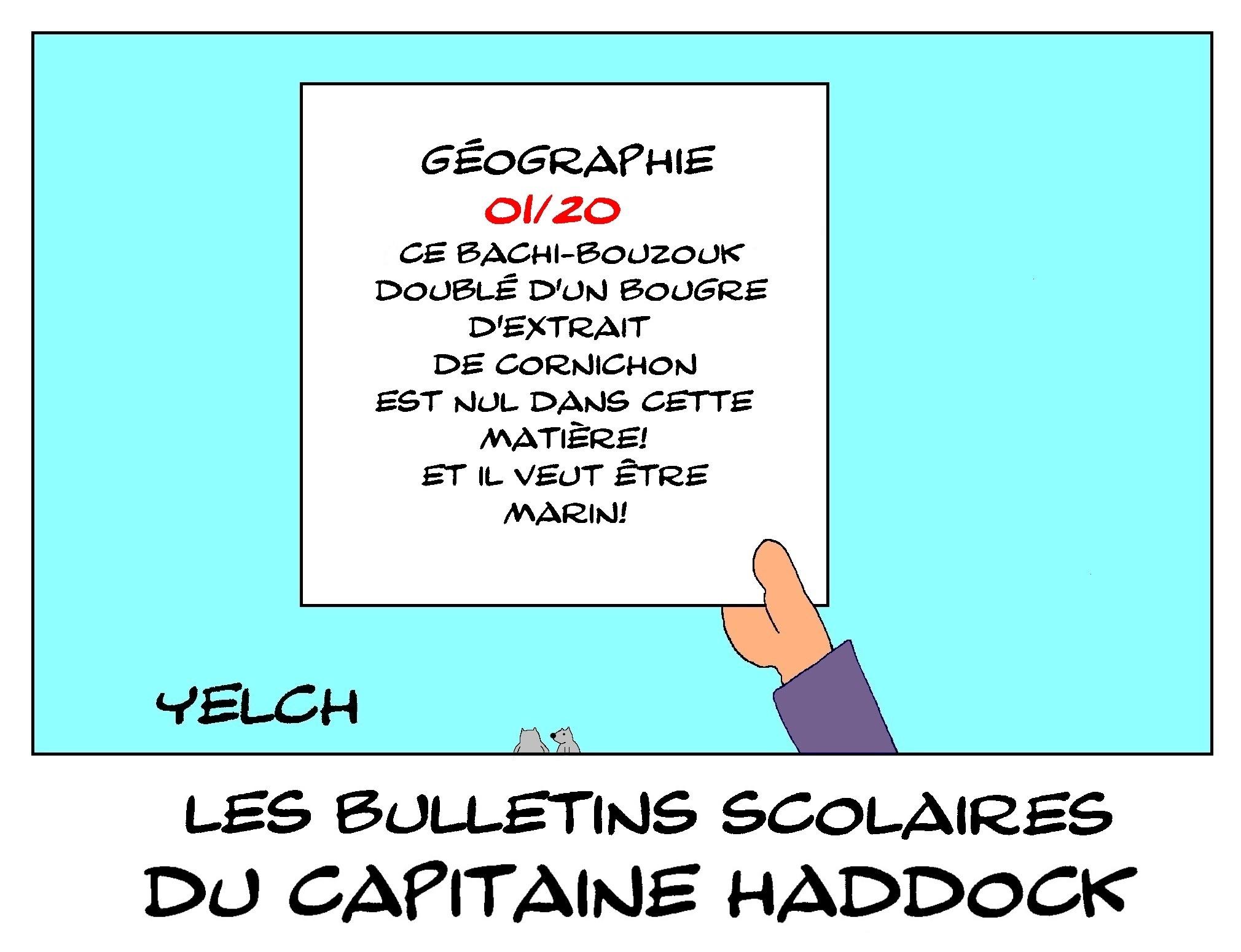les bulletins scolaires du Capitaine Haddock : géographie