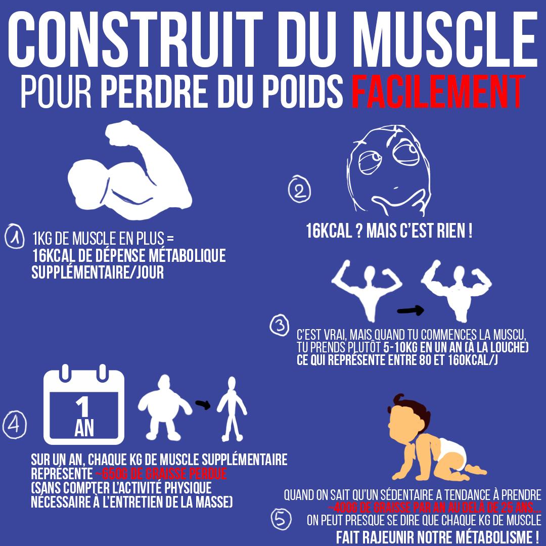 Construit du muscle pour perdre du poids facilement