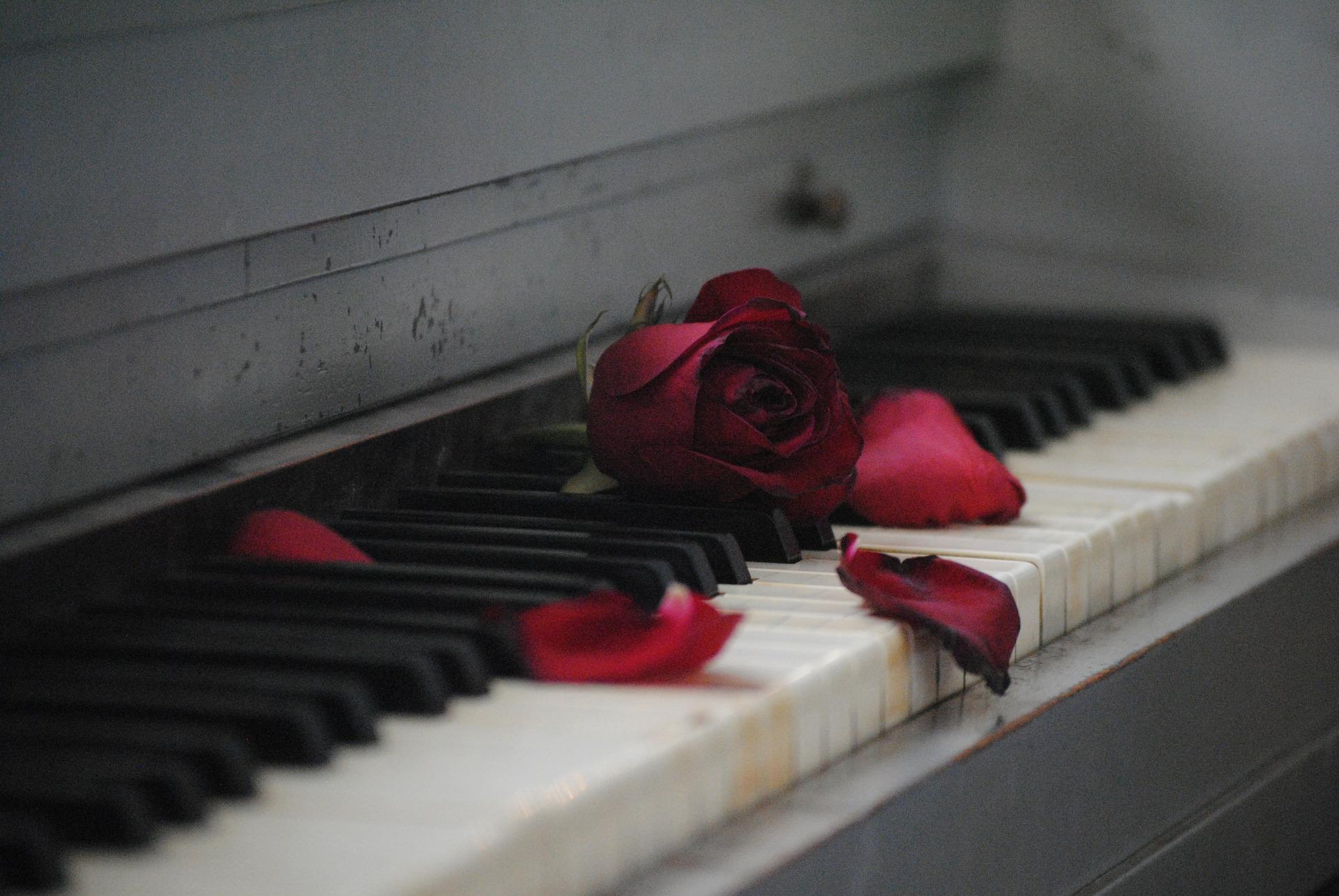 Le silence du piano