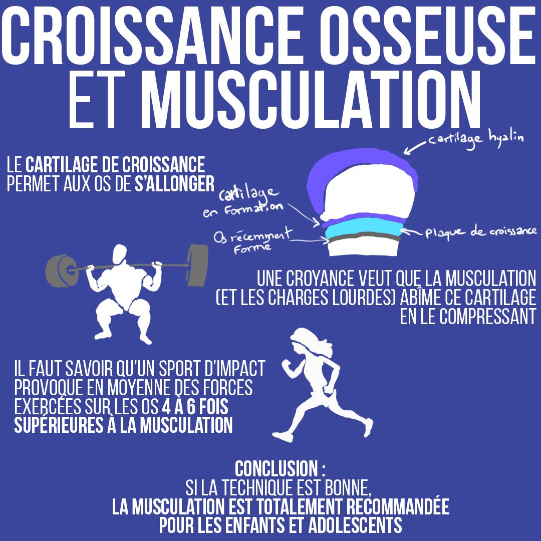 Croissance osseuse et musculation