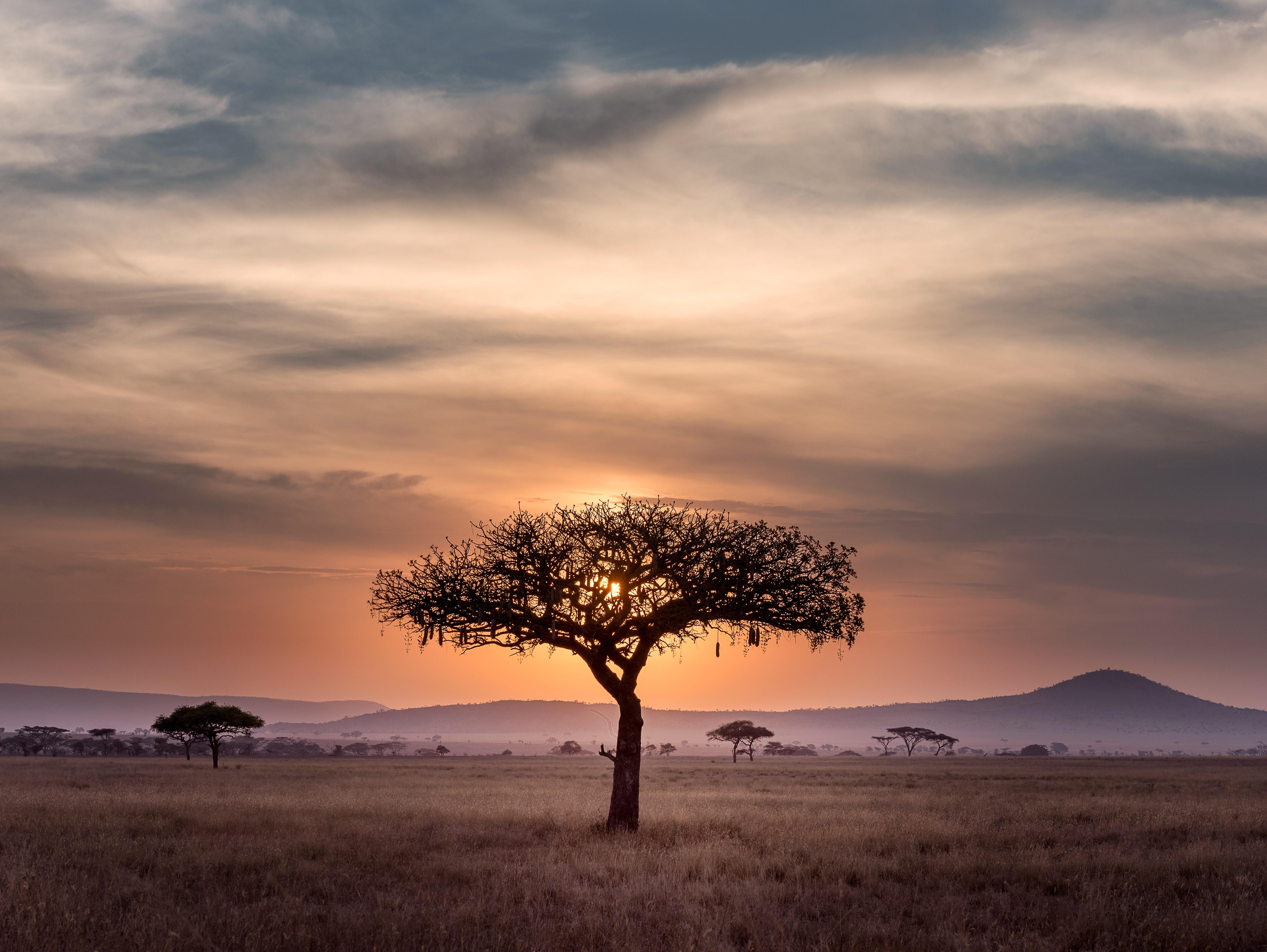 Paysages d'Afrique du Sud