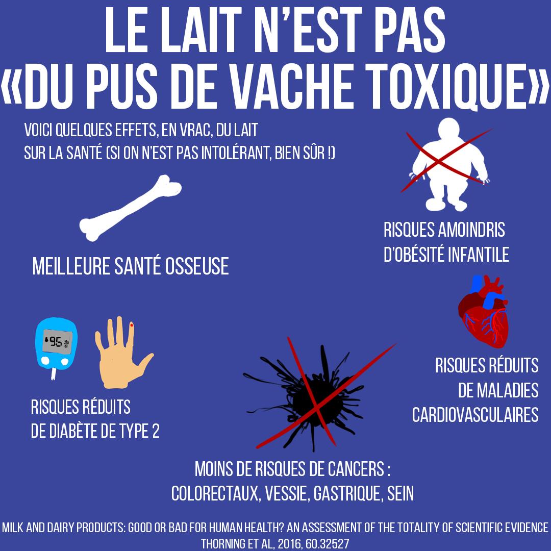 Le lait n'est pas "du pus de vache toxique"