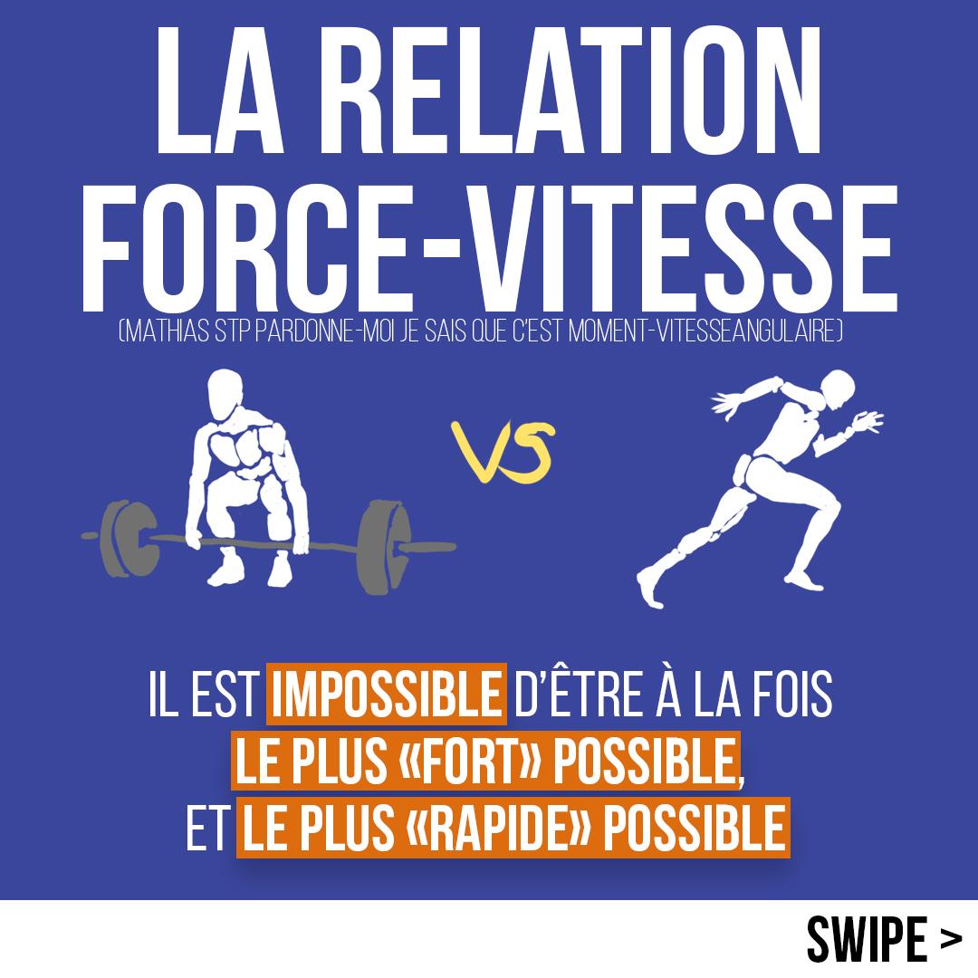 La relation force-vitesse
