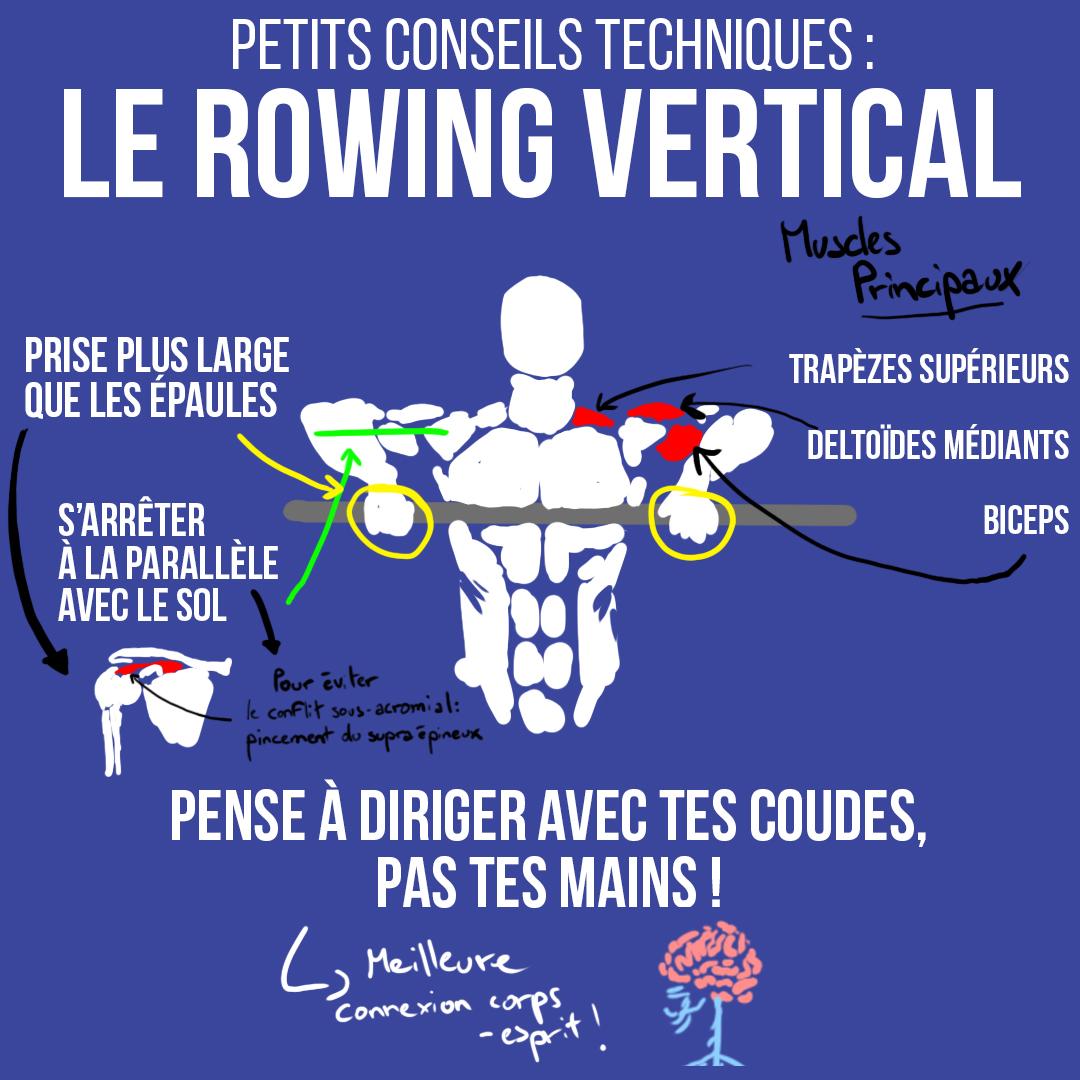Le rowing vertical
