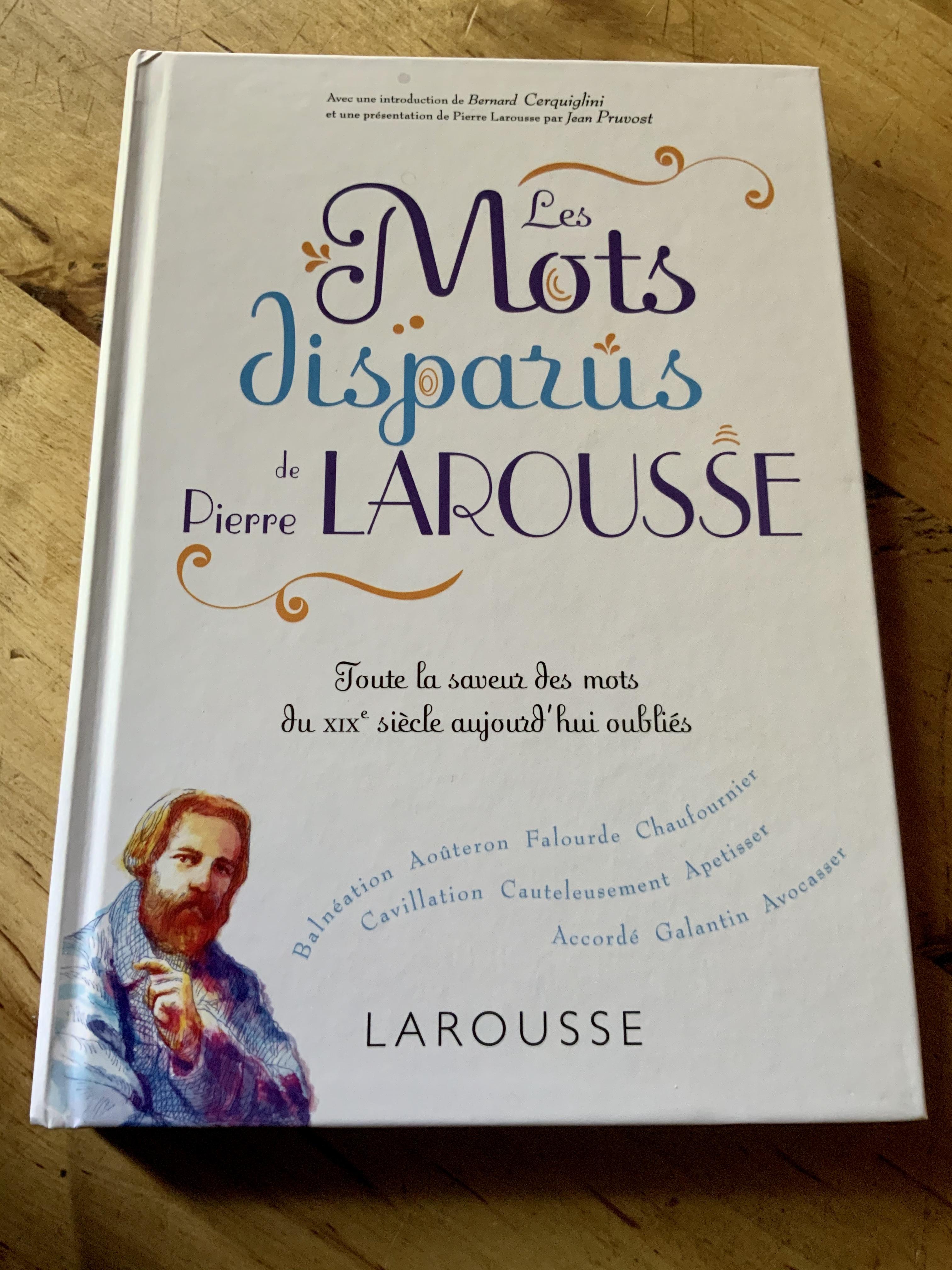 Le jeu des mots disparus