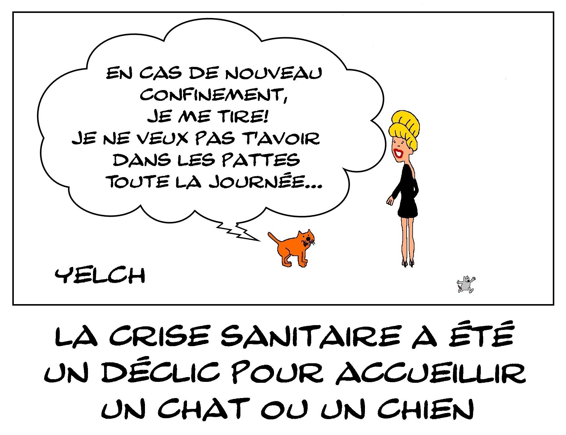 Pas dans mes pattes!