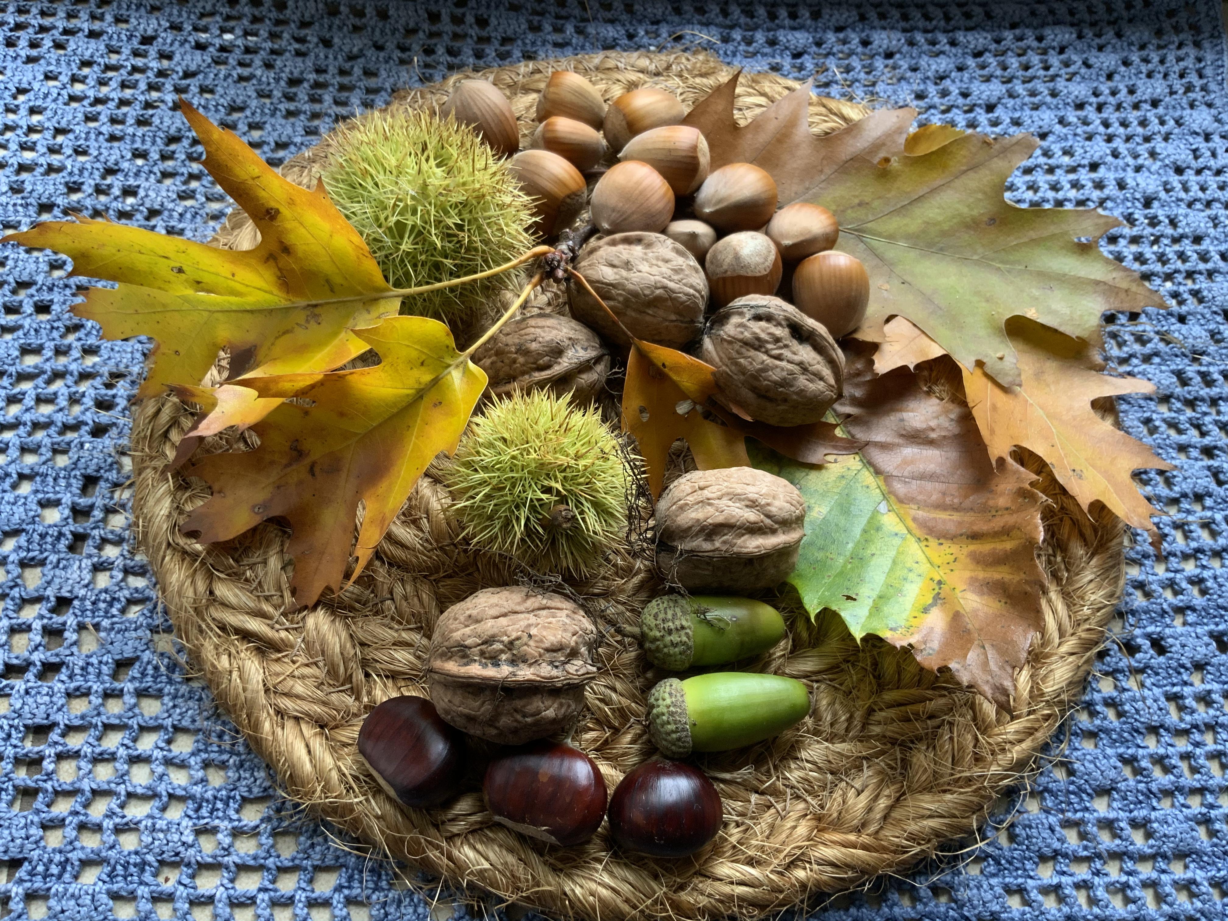 Le jardin du 6 Octobre avec François Coppée