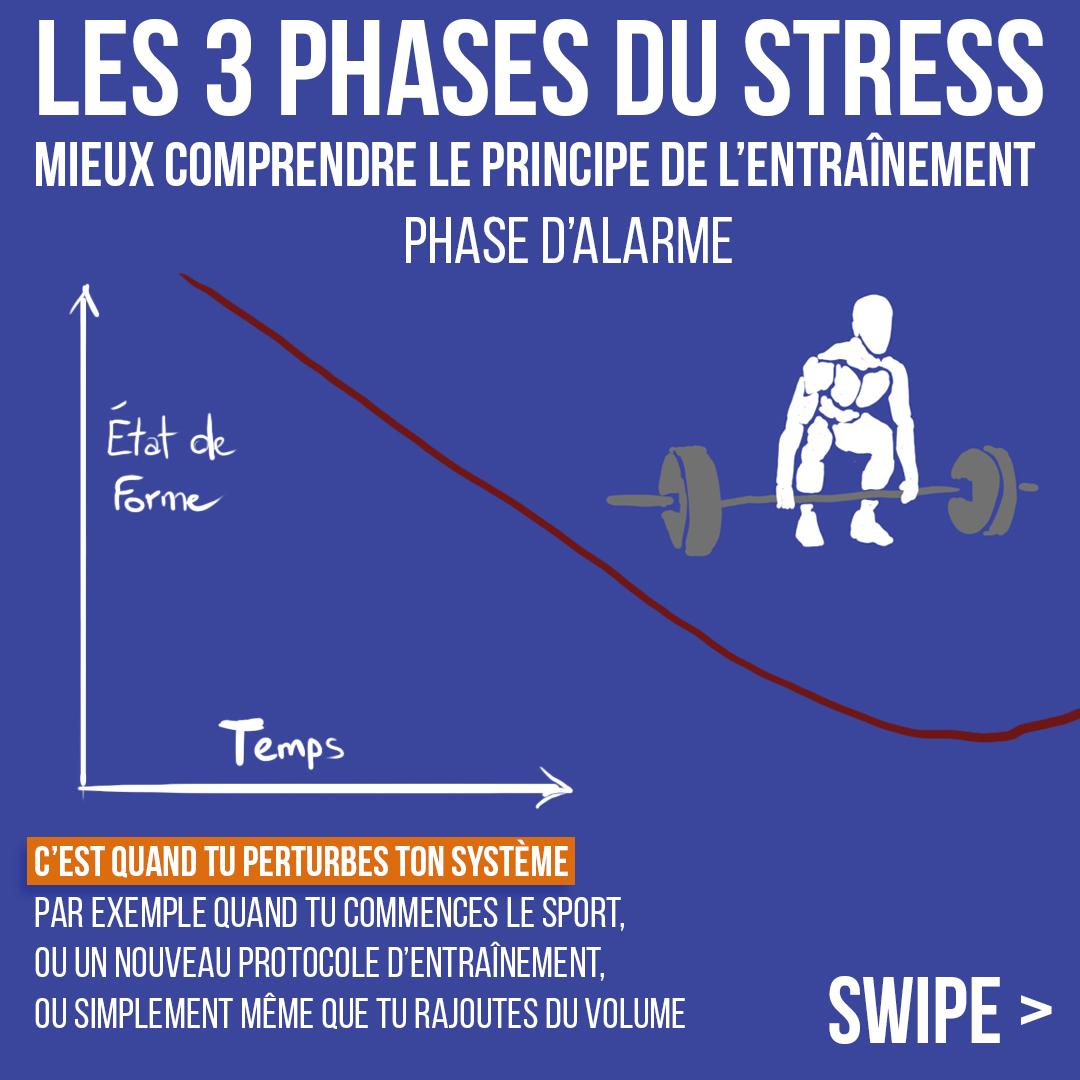 Les 3 phases du stress