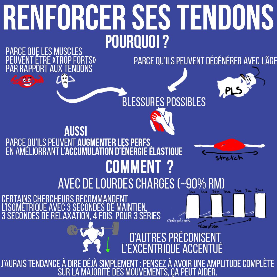 Renforcer ses tendons