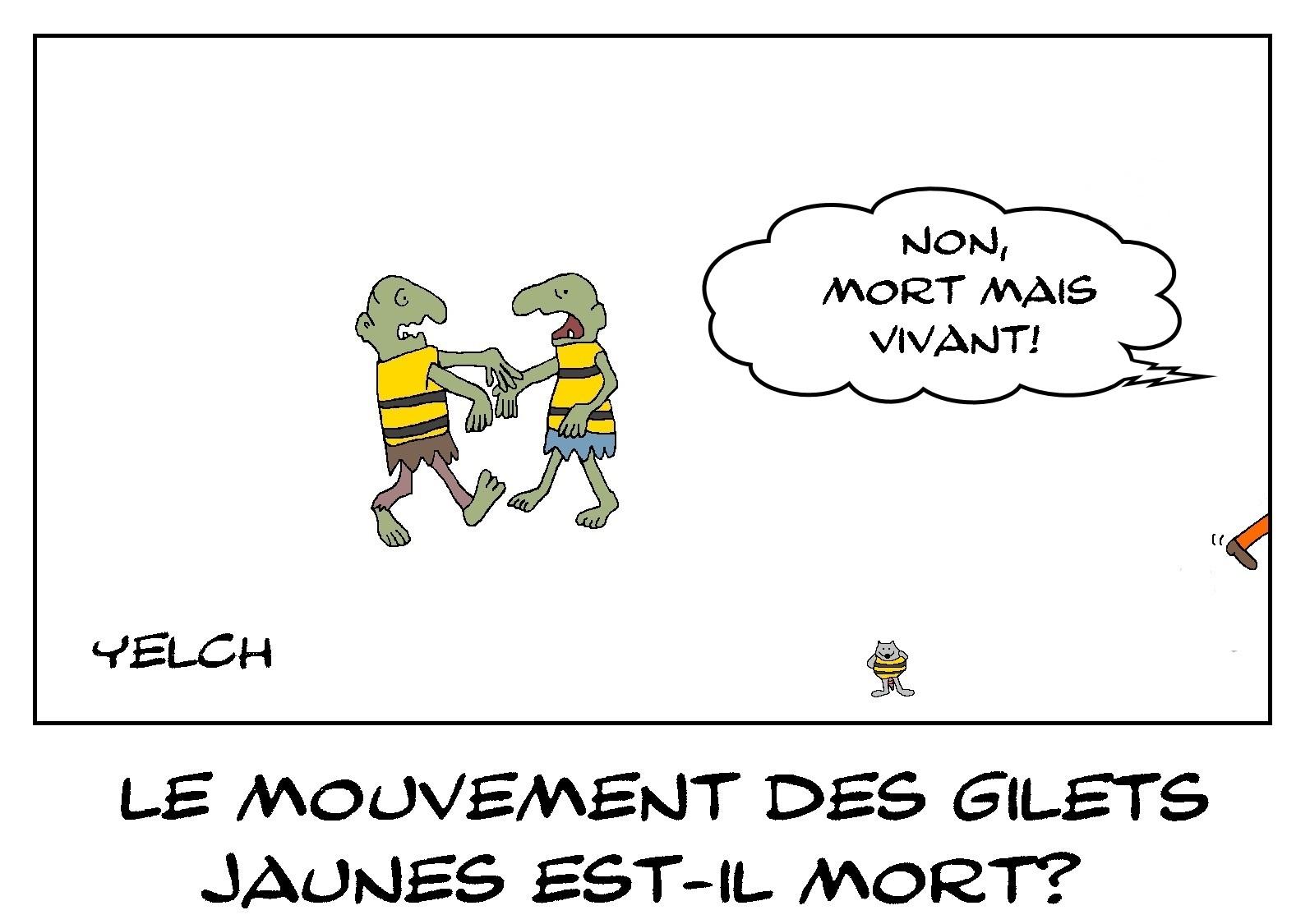 Gilets jaunes morts ou pas ? ou les deux ?