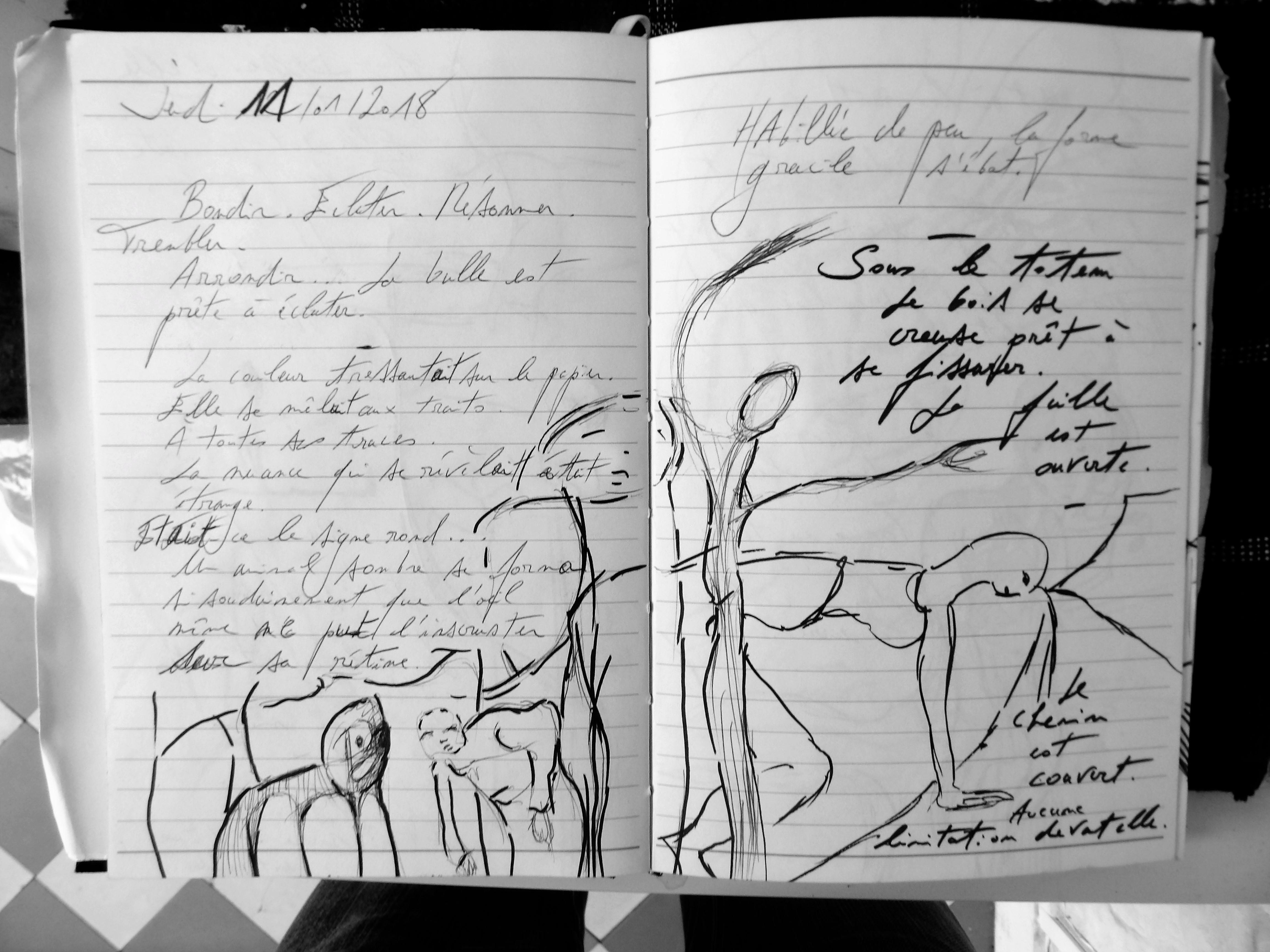 Petits Papiers Volants : Journal D'écriture 2003-2018 - Jeudi 11 janvier 2018