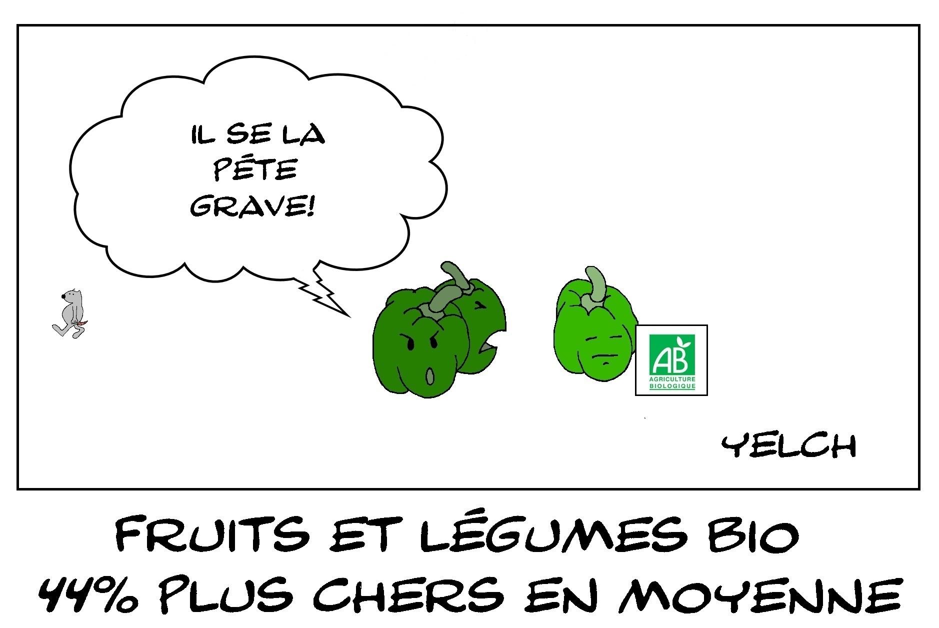 Légumes bio prout-prouts