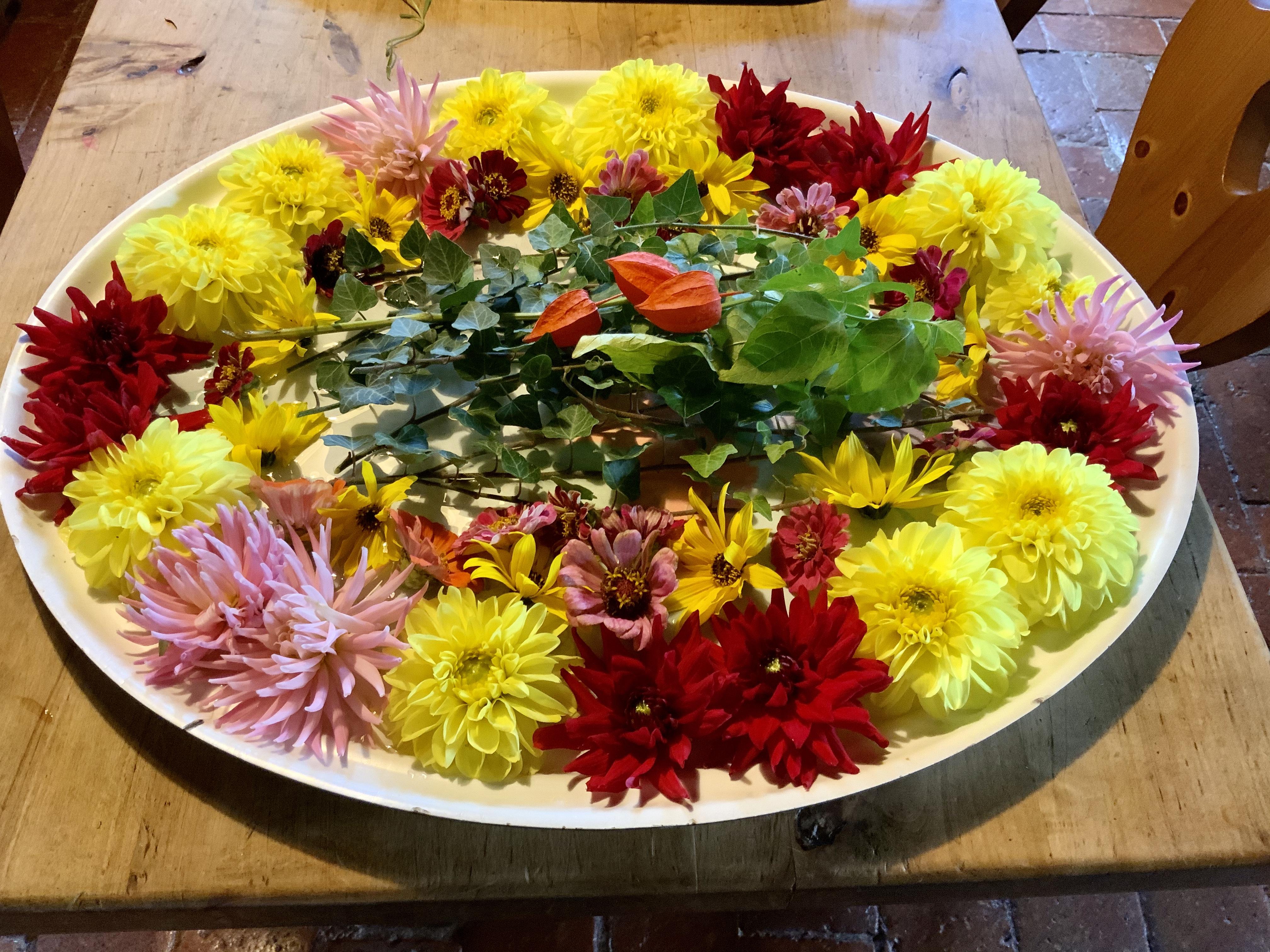 Le jardin de fleurs du 8 Octobre