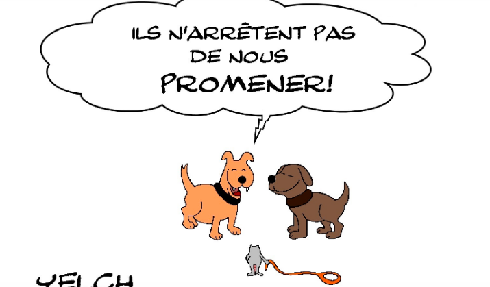 la gent canine et le confinement