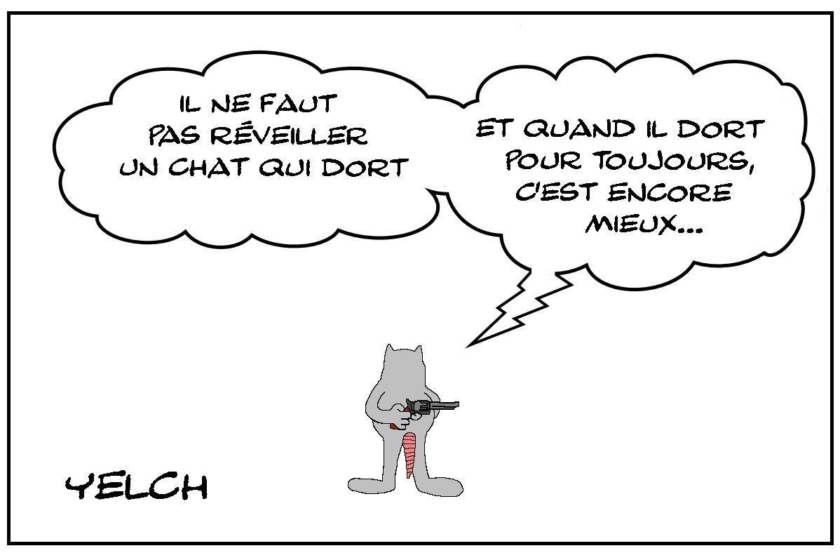 Le chat qui dort pour toujours