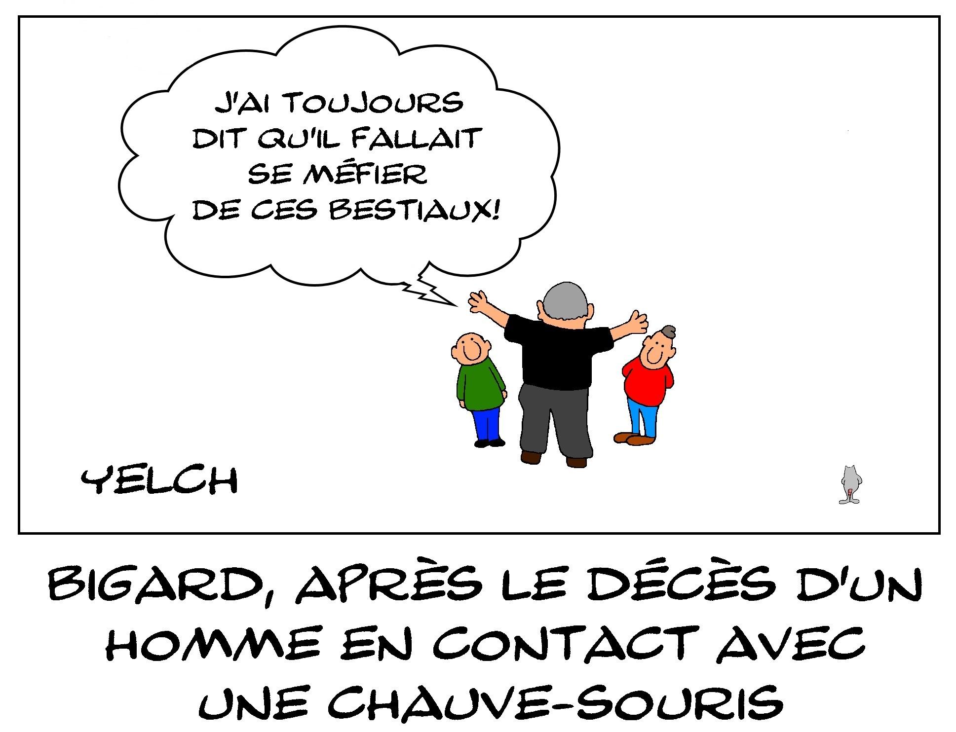 J'ai toujours peur des chauves-souris