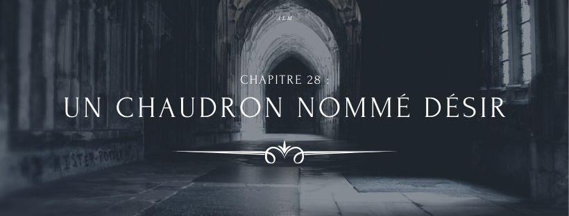 A la Moldue - Chapitre 28 : Un chaudron nommé désir