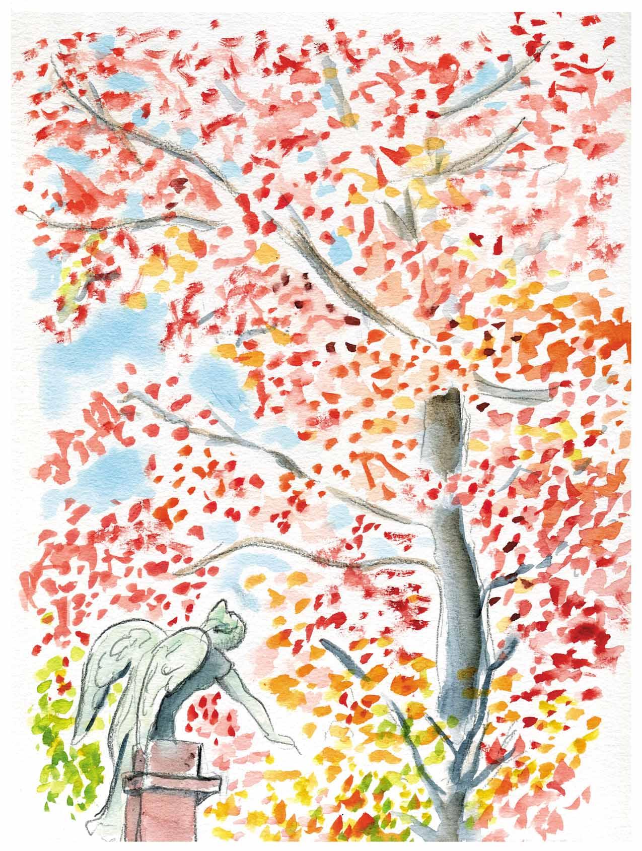 Automne flamboyant