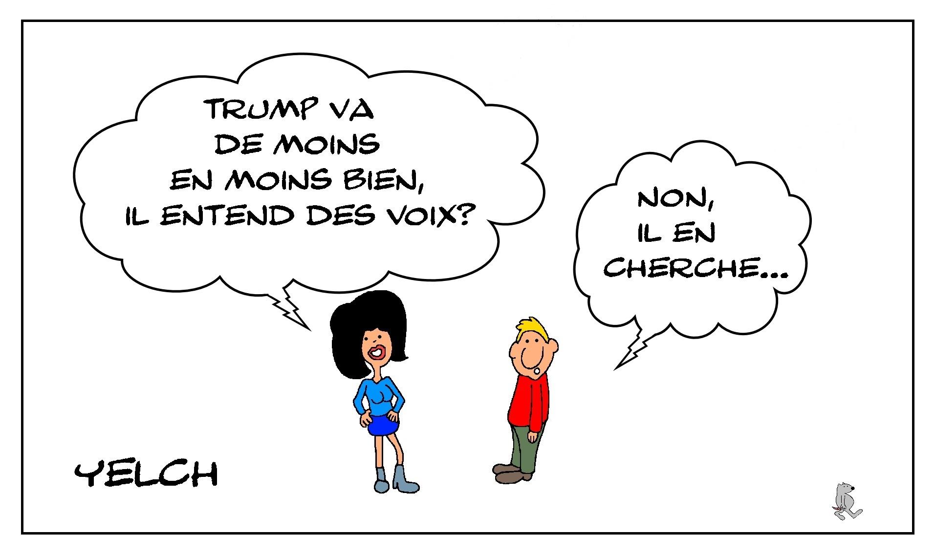 Les voix de Trump