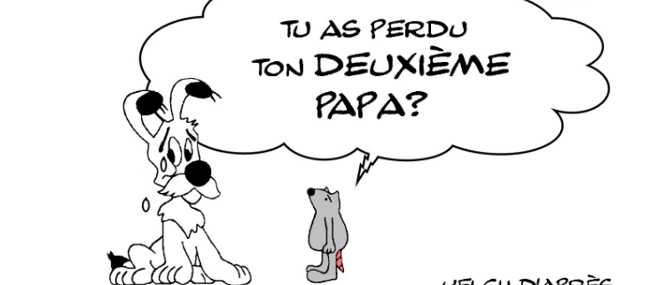 LES LARMES D'IDEFIX