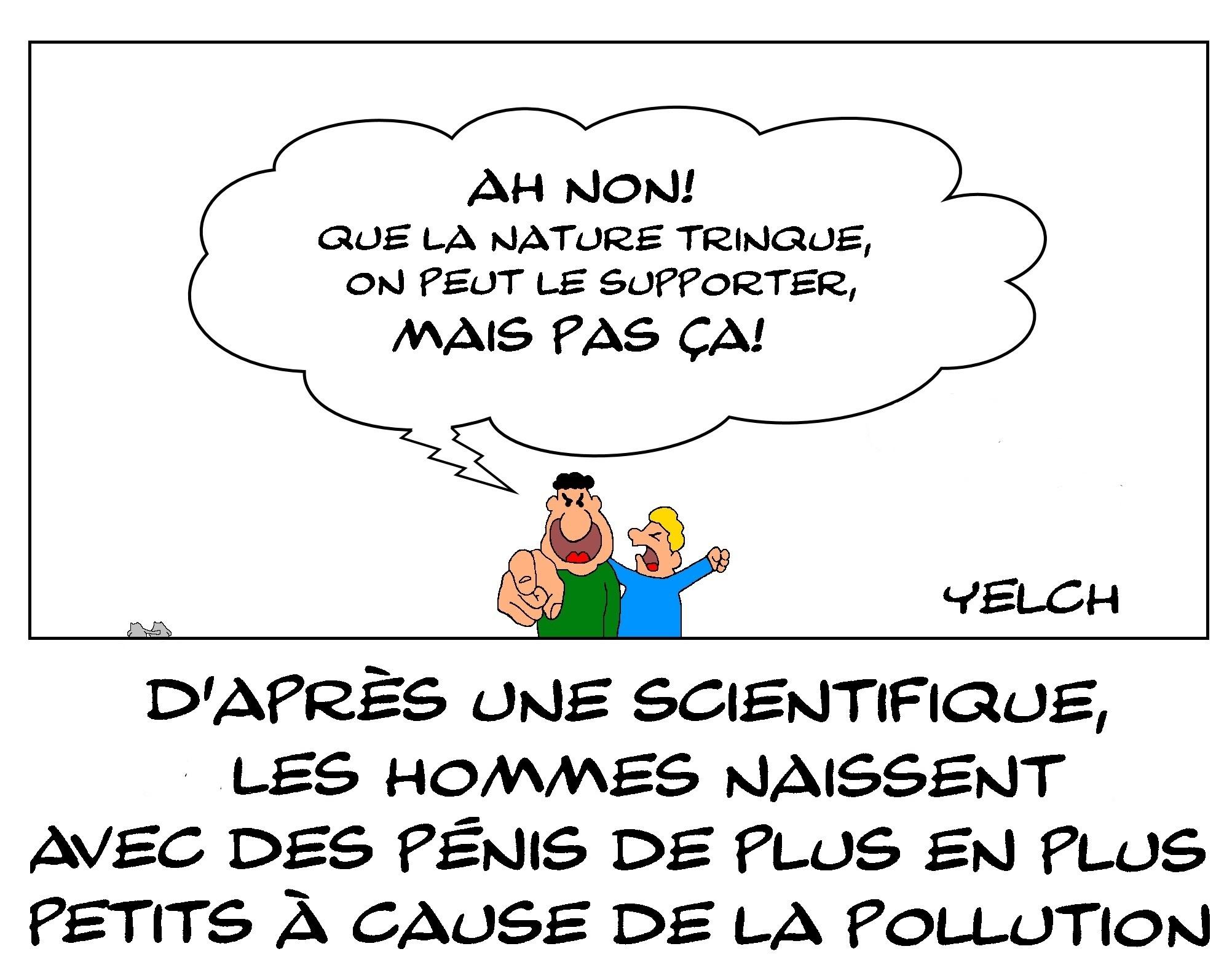 Pénis et pollution