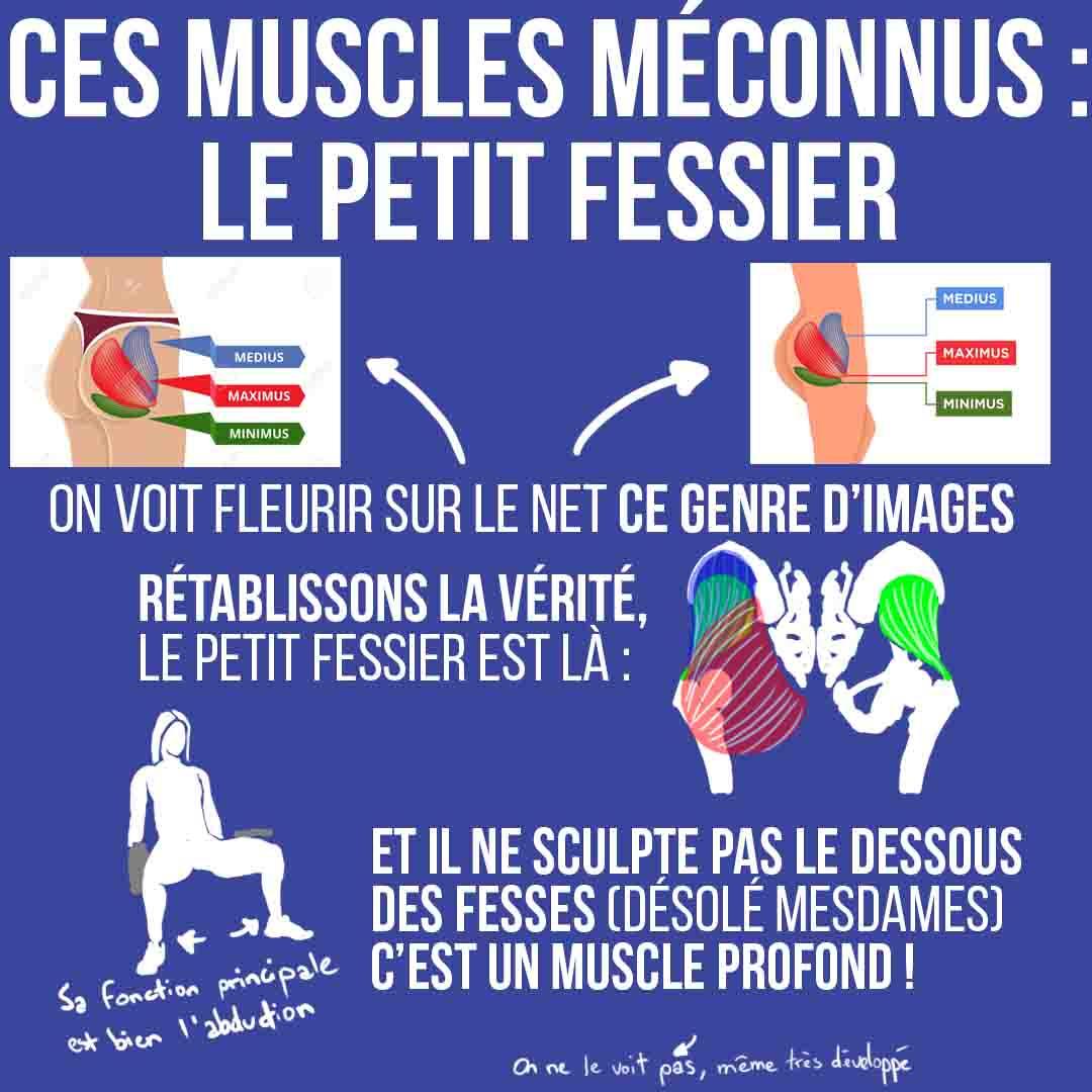 Ces muscles méconnus : Le petit fessier