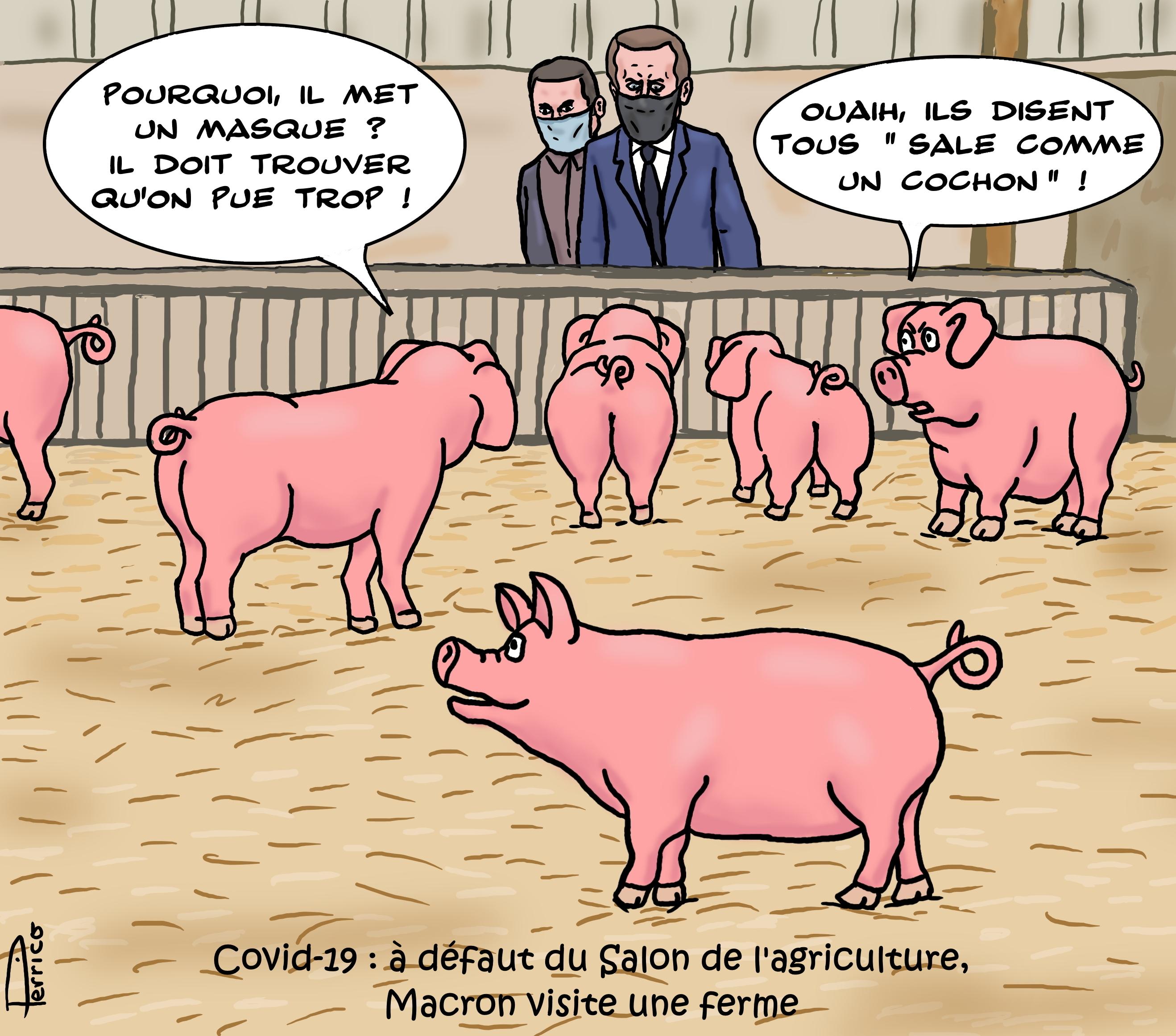 Covid-19 : pas de Salon de l'agriculture !