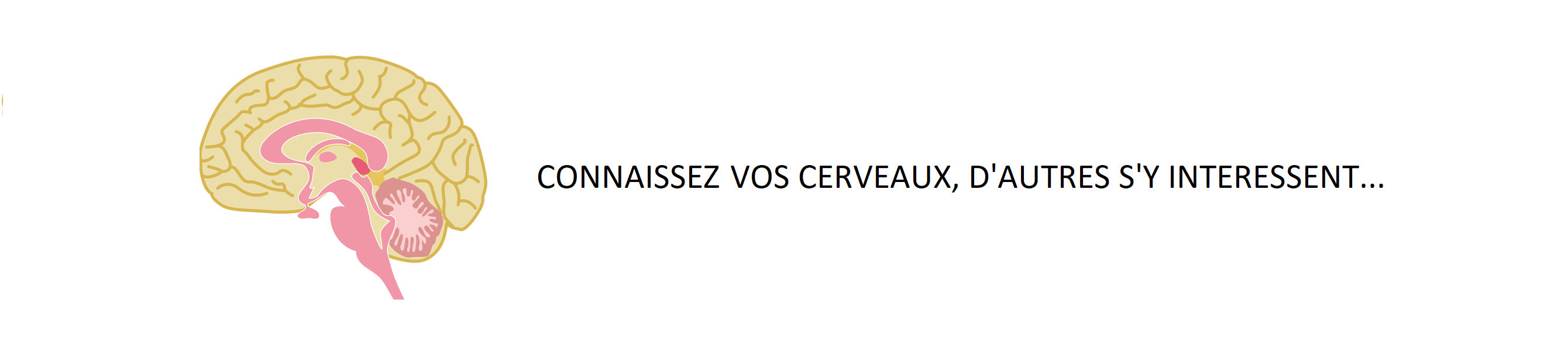 Détournement de l'amygdale du cerveau : tous hackés par le narratif de la peur ?