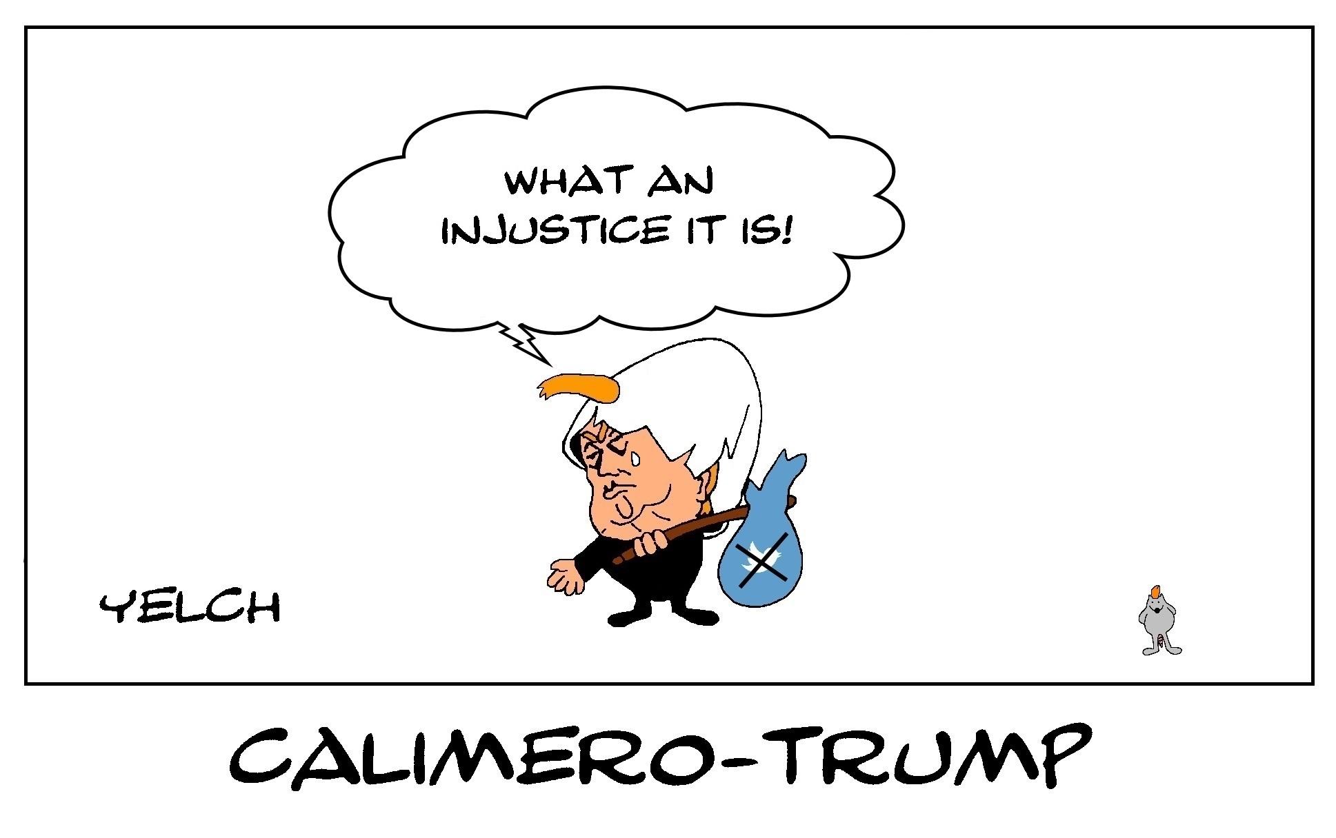 Calimero-Trump , c'est vraiment trop injuste !