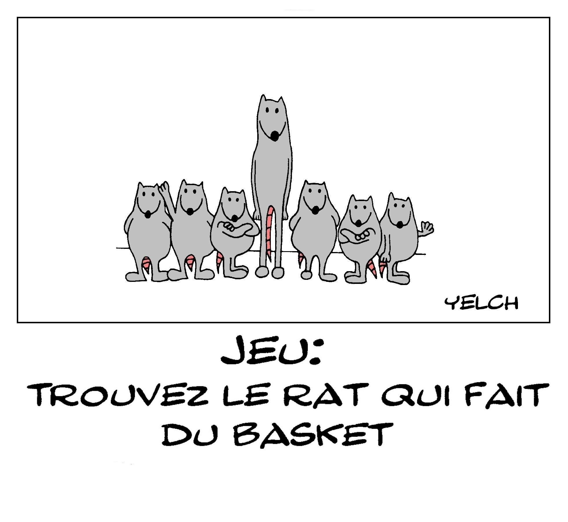 Jeu : trouvez le rat qui fait du basket