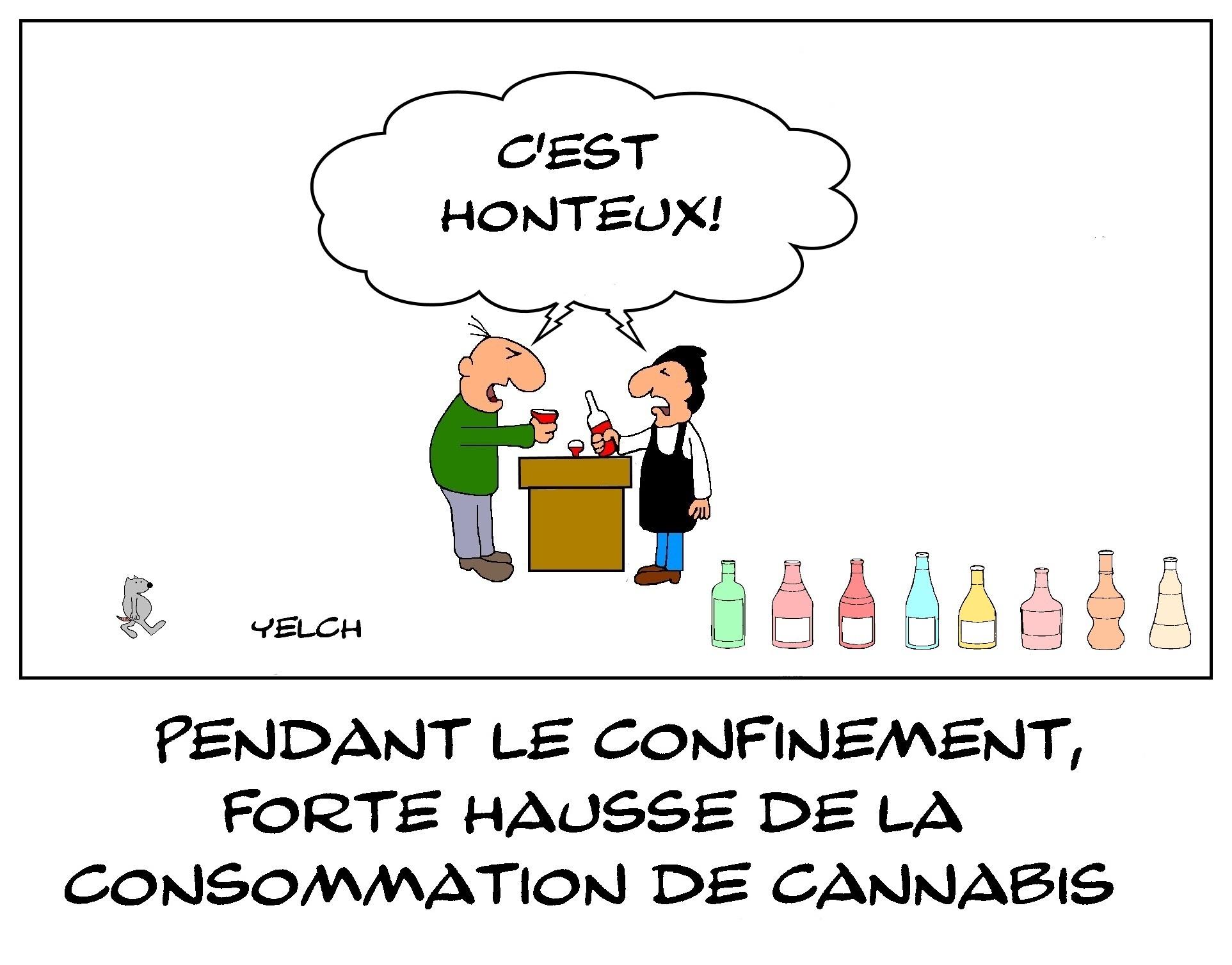 Forte hausse de la consommation de cannabis pendant le confinement