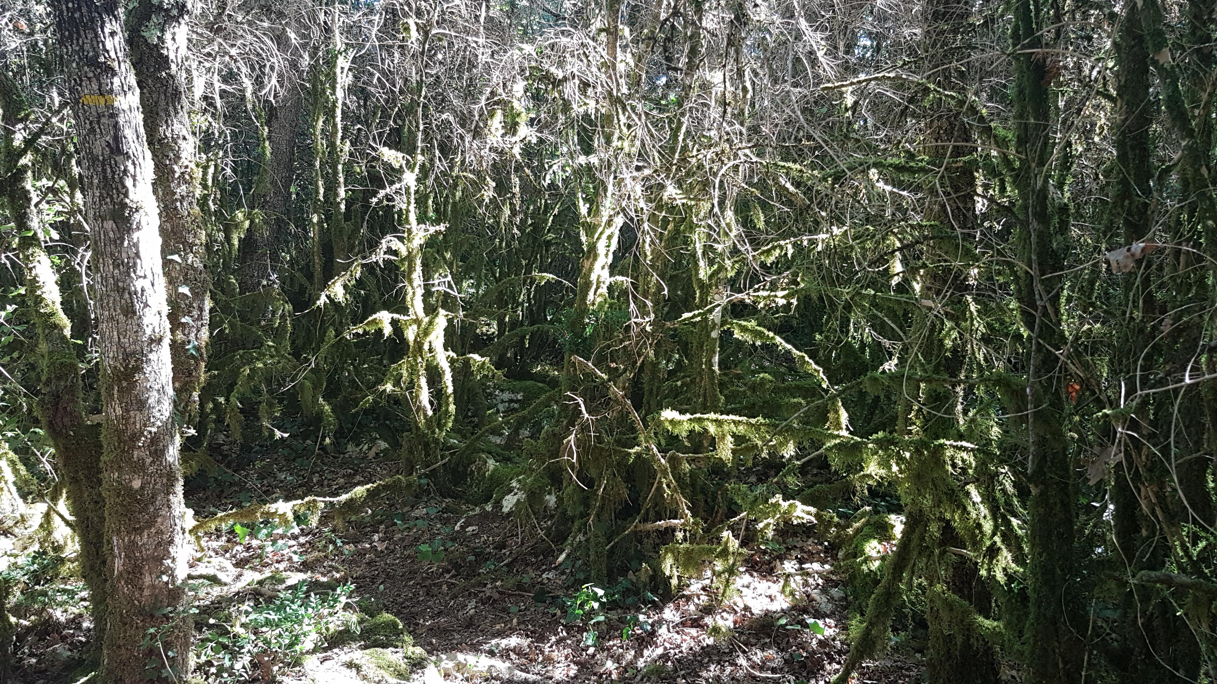 portraits de personnages