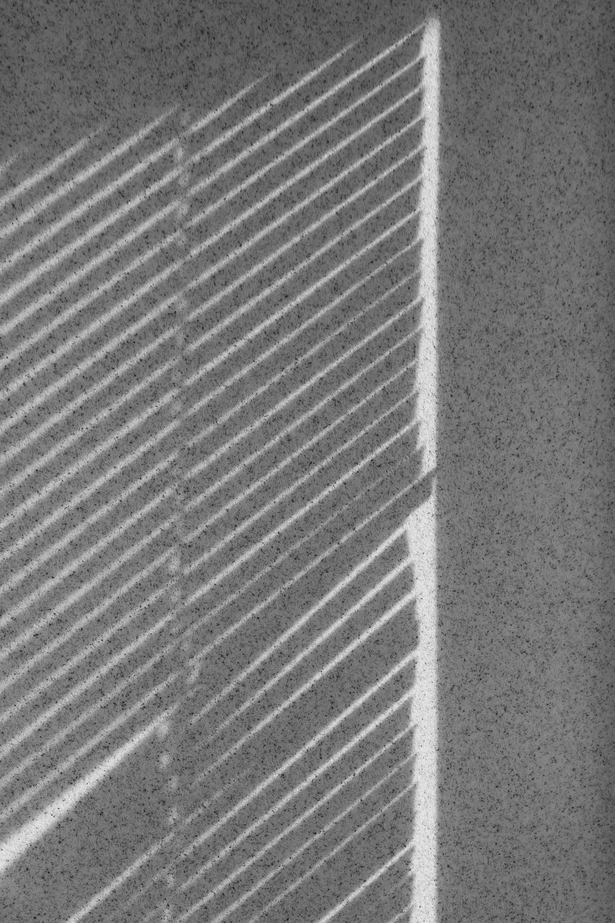 Une chanson d'amour et d'oubli