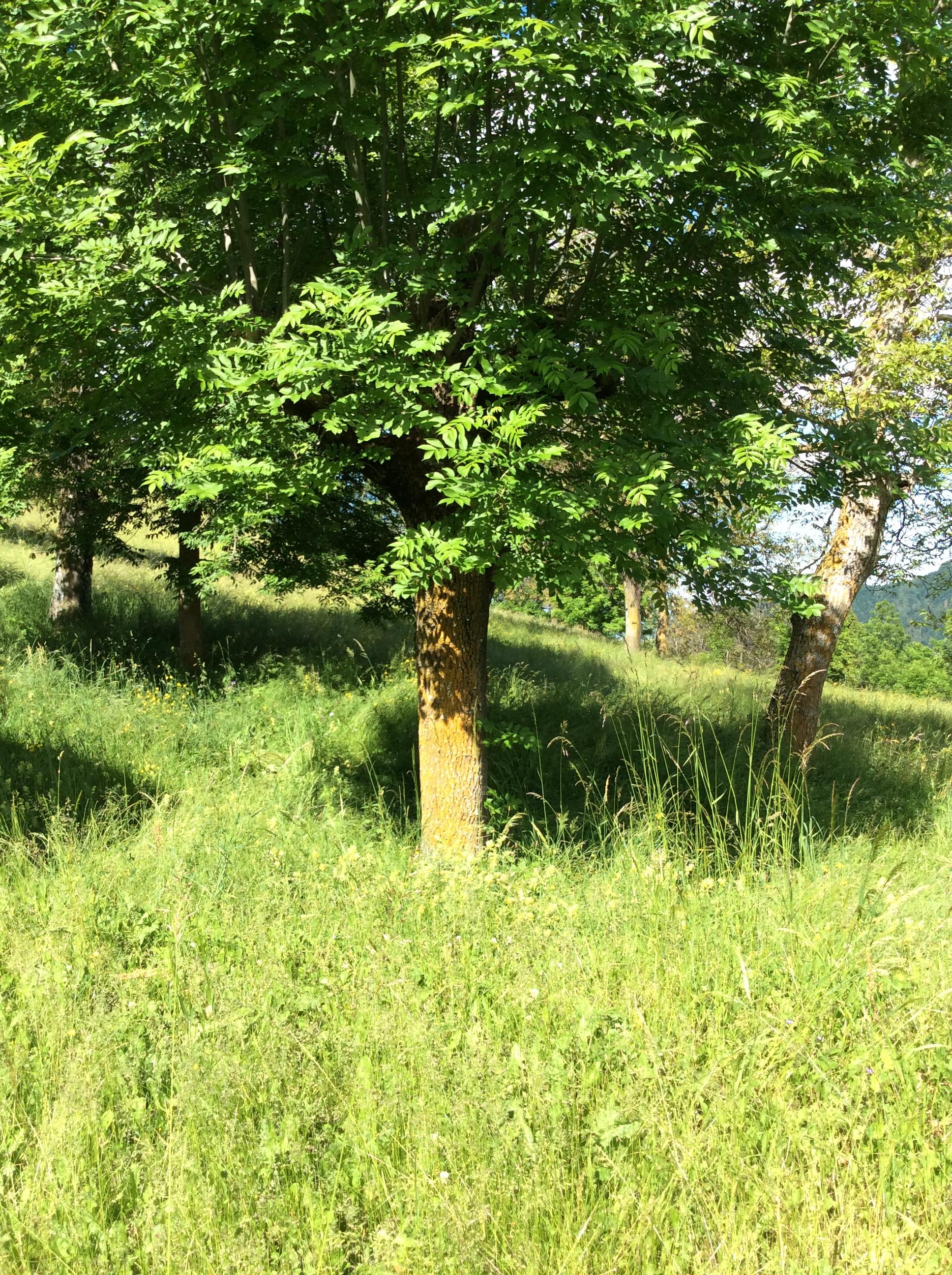 Circulez, Y'a rien à lire...