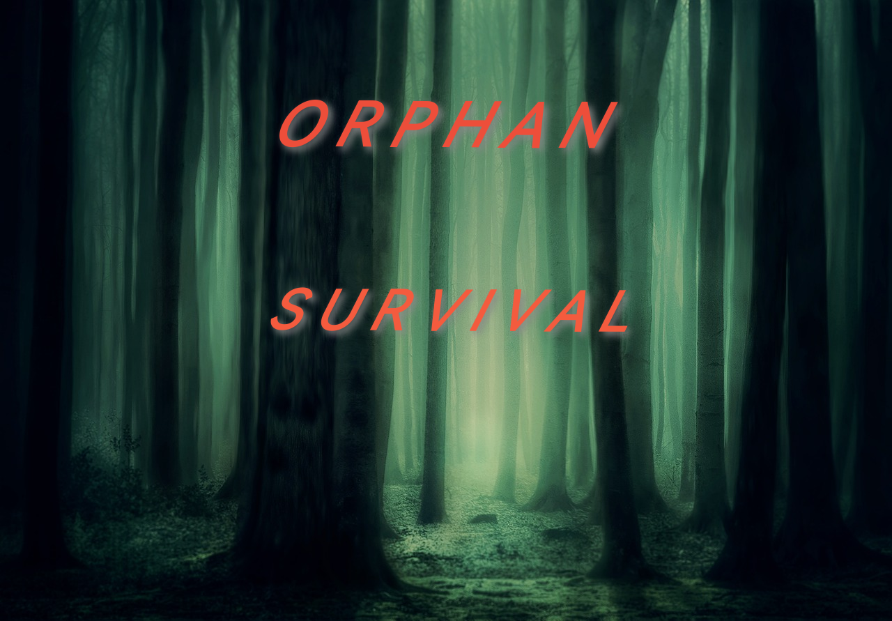 Récit - Orphan Survival