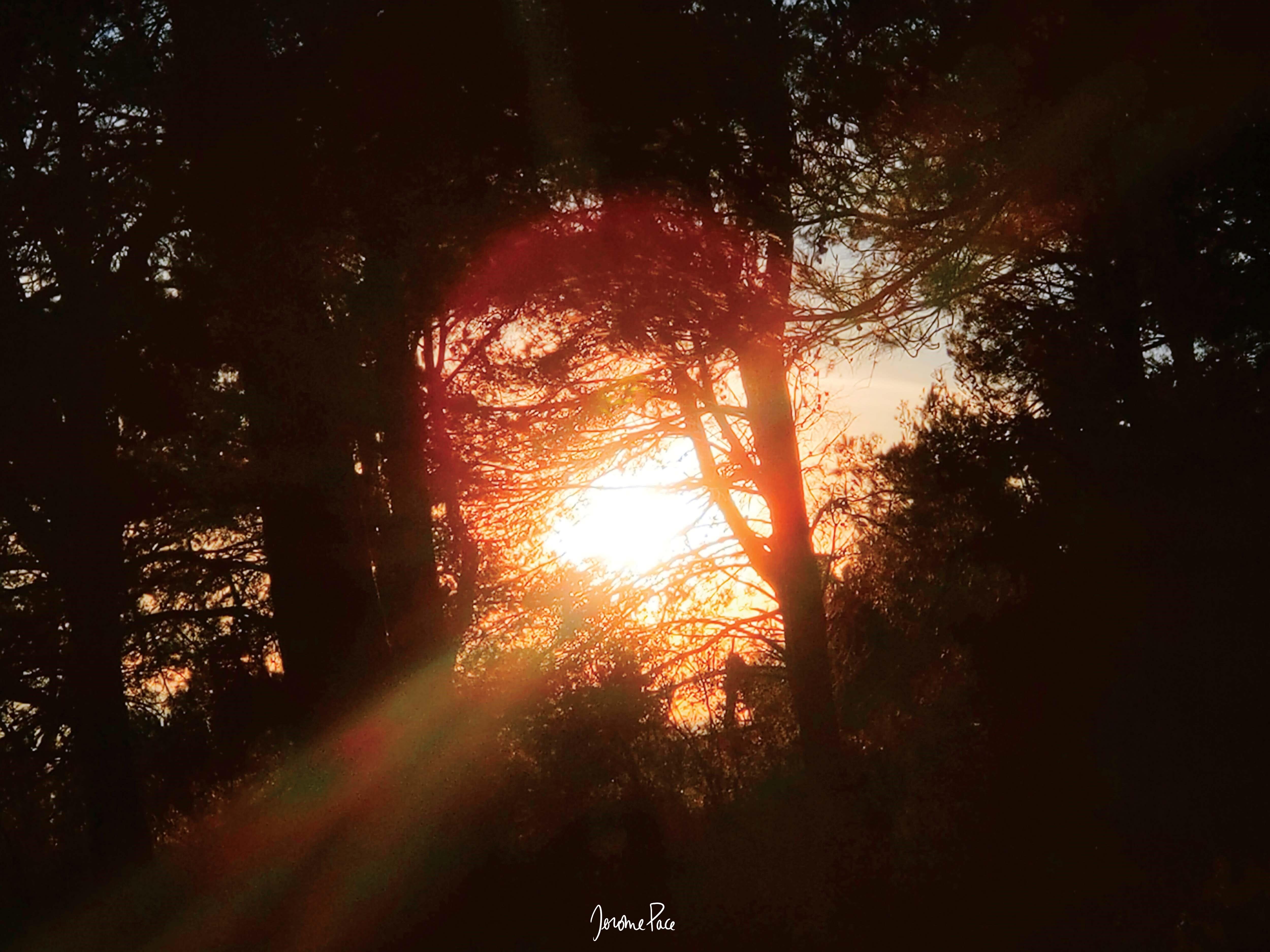 Car la nuit engendre l'aurore...