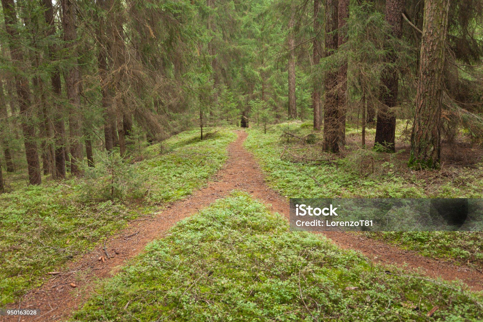 Là où nos chemins se croisent