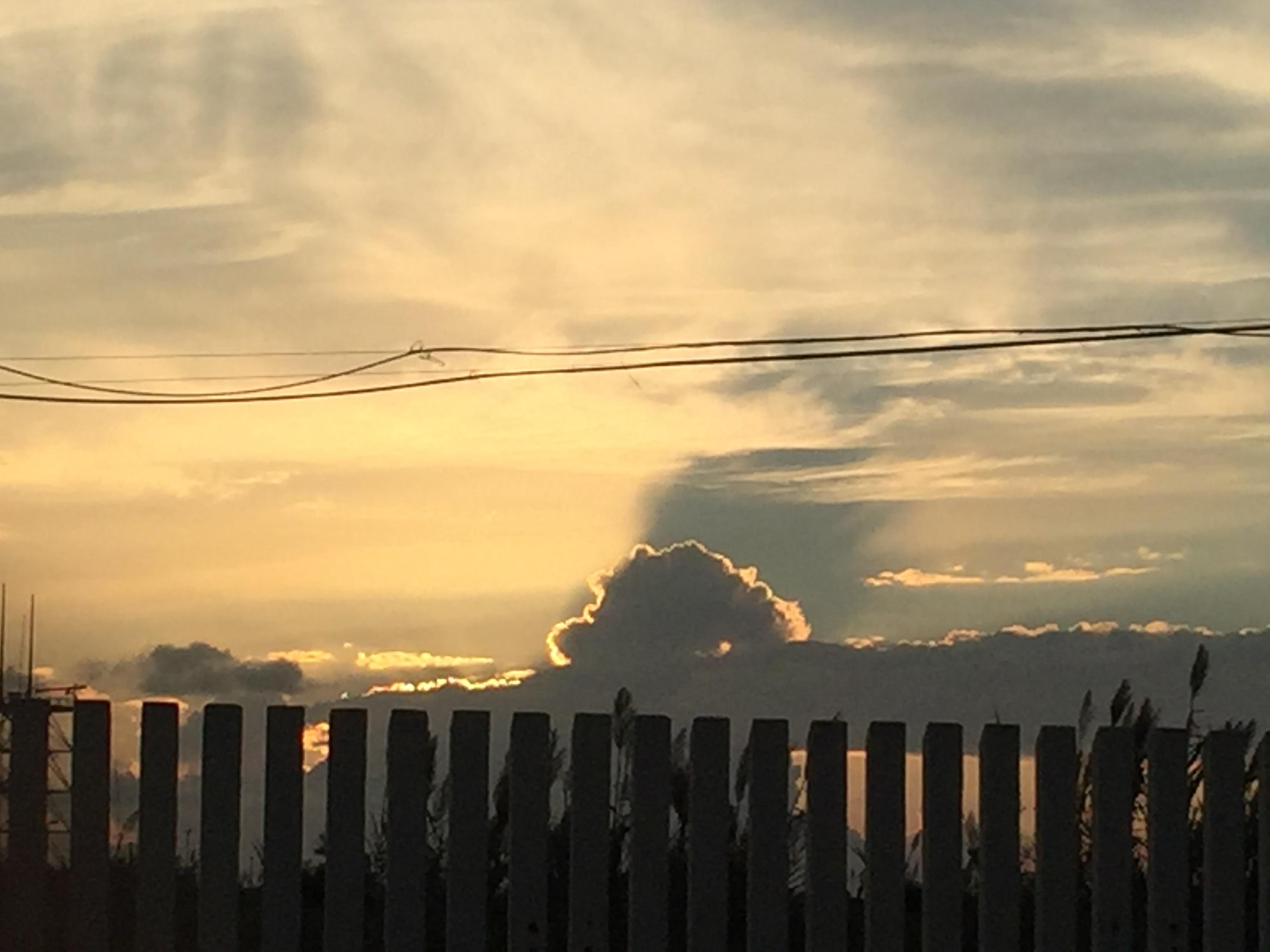 Relire Solal d’Albert Cohen. Une écriture prophétique